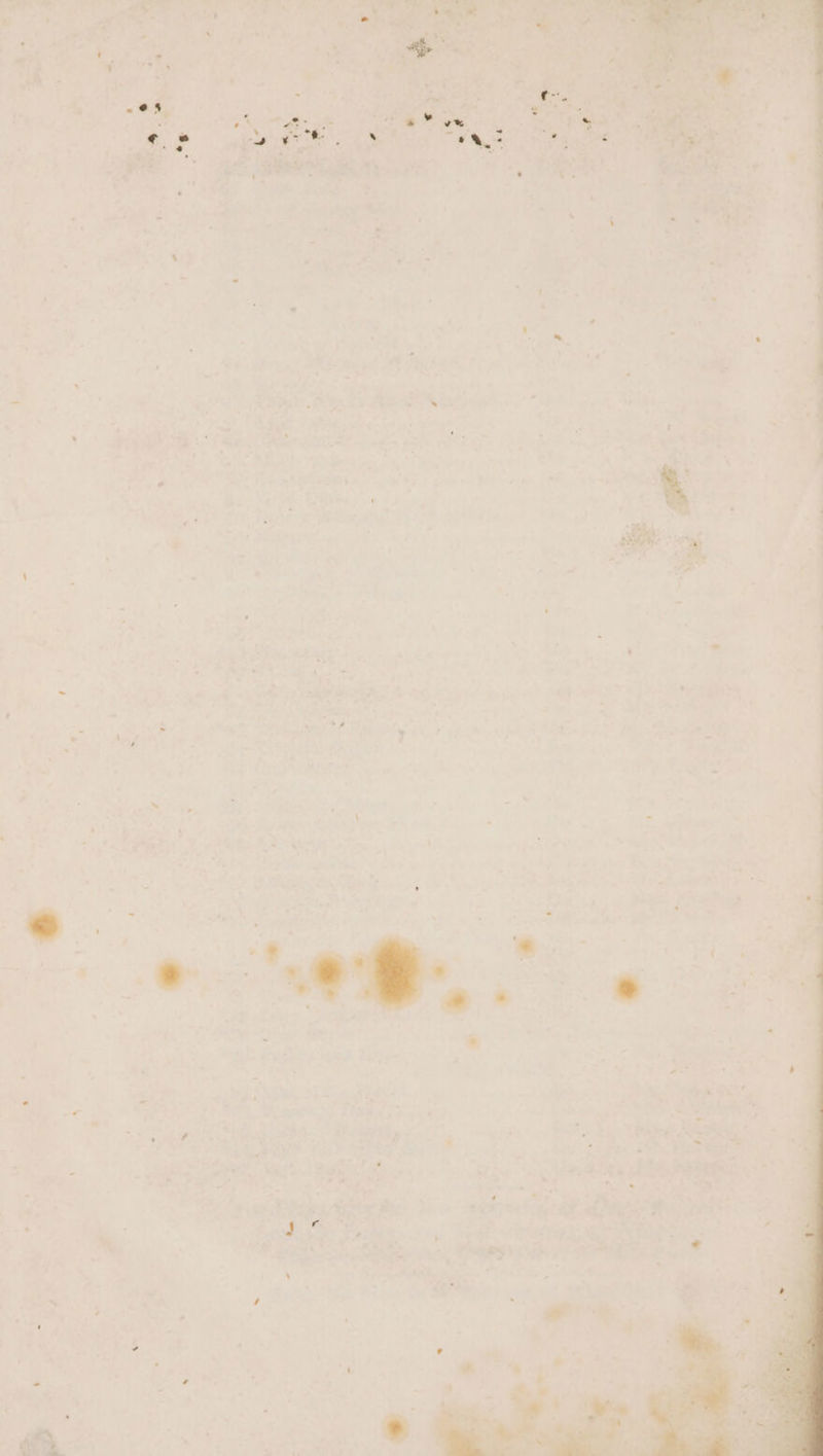 ag RY Sarl. et 4 A ee Me sgn eZ Eee s at ‘\ i : PLR . ¥: iho Oe *- 4 a