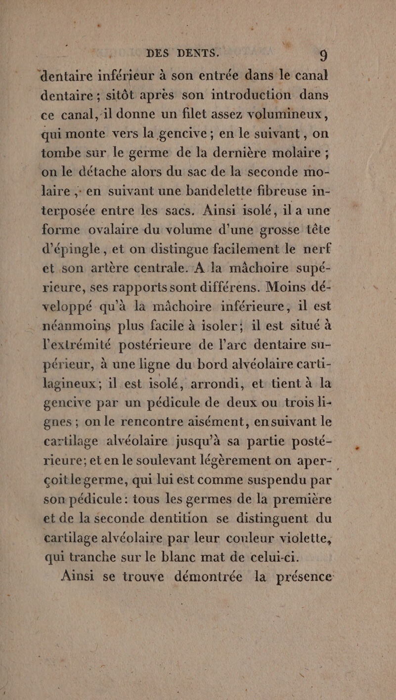 ‘dentaire inférieur à son entrée dans le canal dentaire; sitôt après son introduction dans ce canal, '1l donne un filet assez volumineux 4 qui monte vers la gencive; en le suivant , on tombe sur le germe de la dernière molaire ; on le détache alors du sac de la seconde mo- laire ,: en suivant une bandelette fibreuse in- terposée entre les sacs. Ainsi isolé, il a une forme ovalaire du volume d'une grosse tête d’épingle , et on distingue facilement le nerf et son artère centrale. A la mâchoire supé- ricure, ses rapports sont différens. Moins dé- veloppé qu'à là mâchoire inférieure, il est néanmoins plus facile à isoler; il est situé à l'extrémité postérieure de l'arc dentaire su- périeur, à une ligne du bord alvéolaire carti- lagineux ; il est isolé, arrondi, et tient à la gencive par un pédicule de deux ou trois li- gnes ; on le rencontre aisément, ensuivant le cartilage alvéolaire jusqu'à sa partie posté- rieure; et en le soulevant légèrement on aper- coitlegerme, qui lui est comme suspendu par son pédicule : tous les germes de la première et de la seconde dentition se distinguent du cartilage alvéolaire par leur couleur violette, qui tranche sur le blanc mat de celui-ci. Ainsi se trouve démontrée la présence