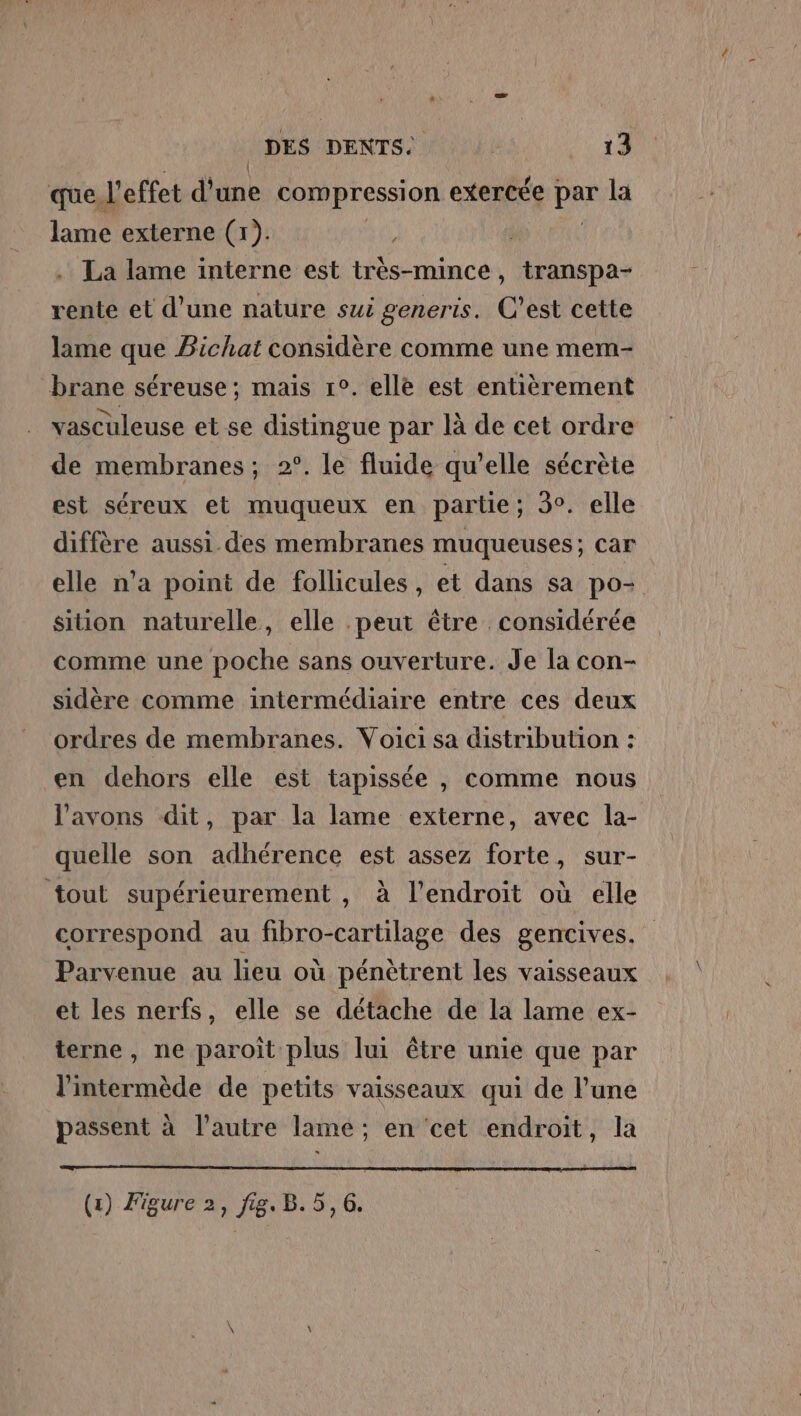 que, l'effet d'une compression exercée var la lame externe (x). Tu La lame interne est très-mince, transpa- rente et d’une nature sui generis. C’est cette lame que Bichat considère comme une mem- brane séreuse; mais 1°. elle est entièrement vasculeuse et se distingue par là de cet ordre de membranes; 2°. le fluide qu’elle sécrète est séreux et muqueux en partie; 3. elle diffère aussi des membranes muqueuses; car elle n’a point de follicules, et dans sa po- sition naturelle, elle .peut être considérée comme une poche sans ouverture. Je la con- sidère comme intermédiaire entre ces deux ordres de membranes. Voici sa distribution : en dehors elle est tapissée , comme nous l'avons dit, par la lame externe, avec la- quelle son adhérence est assez forte, sur- tout supérieurement , à l'endroit où elle correspond au fibro-cartilage des gencives. Parvenue au lieu où pénètrent les vaisseaux et les nerfs, elle se détache de la lame ex- terne, ne paroît plus lui être unie que par l'intermède de petits vaisseaux qui de l'une passent à l’autre lame; en cet endroit, la (x) Figure 2, fig. B. 5, 6.