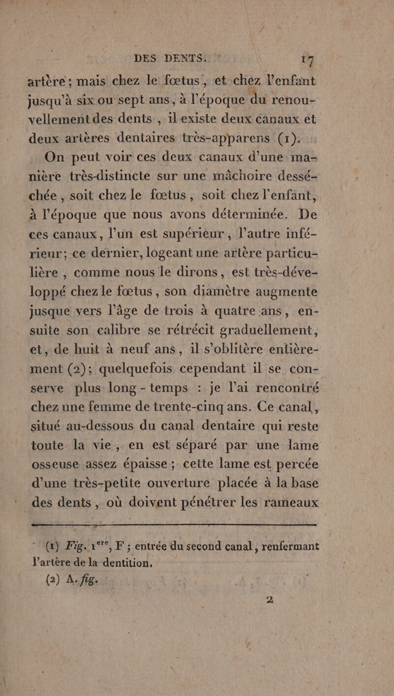 artère; mais chez le fœtus, et chez l'enfant jusqu'à six ou sept ans, à l'époque du renou- vellement des dents , il'existe deux canaux et deux arières dentaires très-apparens (x). On peut voir ces deux canaux d’une ma- nière très-distincte sur une mâchoire dessé- ighées: soit chez le fœtus, soit chez l'enfant, à l'époque que nous avons déterminée. De ces canaux, l’un est supérieur , l’autre infé- rieur; ce dernier, logeant une artère particu- lière , comme nous le dirons, est très-déve- loppé chez le fœtus, son diamètre augmente jusque vers l’âge de trois à quatre ans, en- suite son calibre se rétrécit graduellement, et, de huit à neuf ans, il s’oblitère entière- ment (2); quelquefois cependant il se con- serve plus long - temps : je l'ai rencontré chez une femime de trente-cinq ans. Ce canal, situé au-dessous du canal dentaire qui reste toute la vie, en est séparé par une lame osseuse assez épaisse ; cette lame est percée d'une très-pelite ouverture placée à la base des dents, où doivent pénétrer les rameaux (x) Fig. 1°, F ; entrée du second canal, renfermant l’artère de la aa (2) A. f8