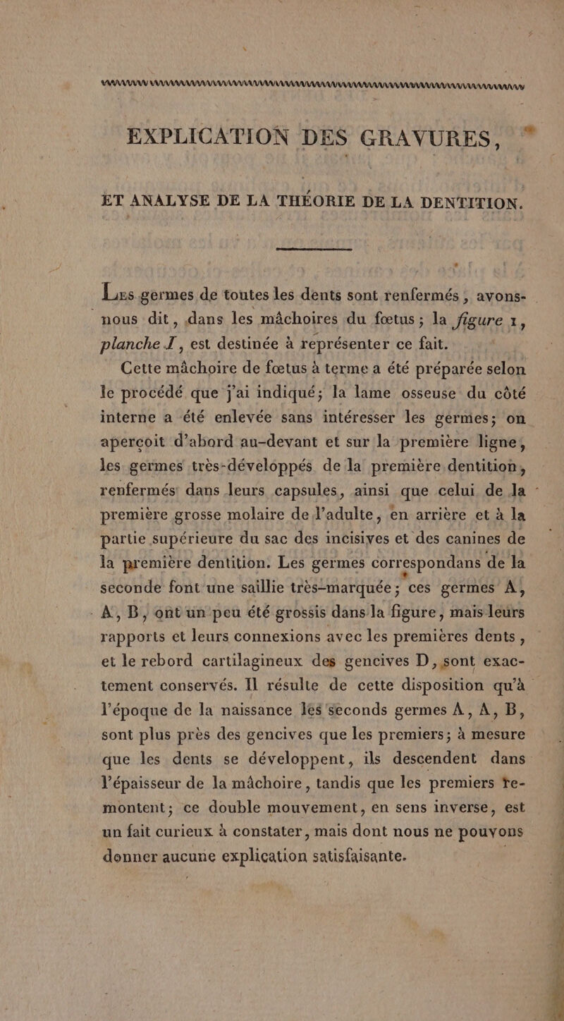 % EXPLICATION DES GRAVURES, * ET ANALYSE DE LA THÉORIE DE LA DENTITION. Lis germes de toutes les dents sont renfermés , avons- nous dit, dans les mâchoires du fœtus ; la figure 1, planche T, est destinée à représenter ce fait. | Cette mâchoire de fœtus à terme a été préparée selon le procédé que j'ai indiqué; la lame osseuse du côté interne a été enlevée sans intéresser les germes; on apercoit d’abord au-devant et sur la première ligne, les germes très-développés de la première dentition, première grosse molaire de l’adulte, en arrière et à la partie supérieure du sac des incisiyes et des canines de la première dentition. Les germes correspondans de la seconde font une saillie très-marquée; ces germes À, - À, B, ont un peu été grossis dans la figure, mais leurs rapports et leurs connexions avec les premières dents, et le rebord cartilagineux des gencives D, sont exac- tement conservés. Il résulte de cette disposition qu'à l’époque de la naissance Îes'seconds germes À, À, B, sont plus près des gencives que les premiers; à mesure que les dents se développent, ils descendent dans l'épaisseur de la mâchoire , tandis que les premiers ïe- montent; ce double mouvement, en sens inverse, est un fait curieux à constater , mais dont nous ne pouvons donner aucune explication satisfaisante. |