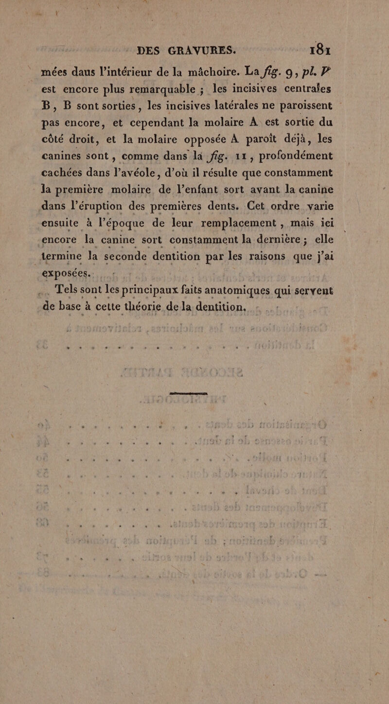 mées daus l’intérieur de la mâchoire. La fig. 9, pt est encore plus remarquable ; les incisives centrales B, B sont sorties, les incisives latérales ne paroissent pas encore, et cependant la molaire À est sortie du côté droit, et la molaire opposée À paroiït déjà, les canines sont, comme dans là fig. 11, profondément cachées dans l’avéole, d’où il résulte que constamment la première molaire de l’enfant sort avant la canine dans l’éruption des premières dents. Cet ordre varie ensuite à l’époque de leur remplacement , mais ici encore la canine sort constamment la dernière; elle termine la seconde dentition par les raisons que jai | exposées. | Tels sont les principaux faits anatomiques qui servent de base : à cette théorie de la dentition.