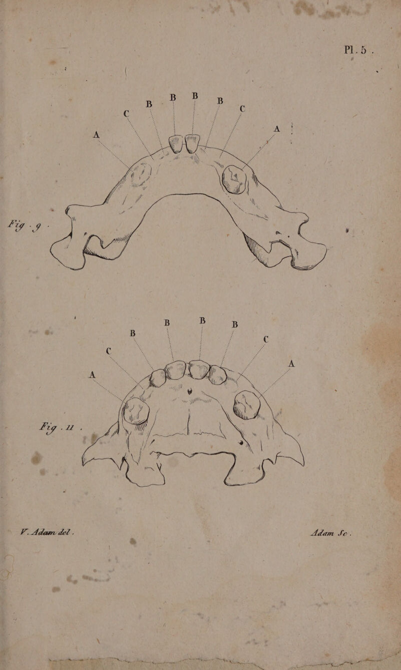 2e ù À s ë « s aa A Adam Je. / te $ nr x Did: CUP Fo à LE 2
