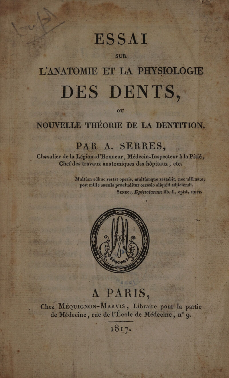 CON Aie © Dr Pr CRE v gai . AE t° * NE sas * ss ù OU NOUVELLE THÉORIE DE LA DENTITION, PAR à. S E RRES, We . Chevalier de la Légion-d’Honneur , Médecin-Inspecteur à la Pate jé ke ; tes Chef des travaux anatomiques des hôpitaux, etc. 5 É: 7 ps he 4 CHERE Multüm'adhuc restat operis, multümque restabit, nec ullinato, post mille sæcula præcluditur occasio aliquid adjieiendi. # * L £ LT aps! Le jt Le pet à F4 es , £ de «+ LS x. F2? cf 4 à Li . Re À PARIS, mes | à Ë, - de Médecine, rue de École de Médecine, n° 9. 1017: 4