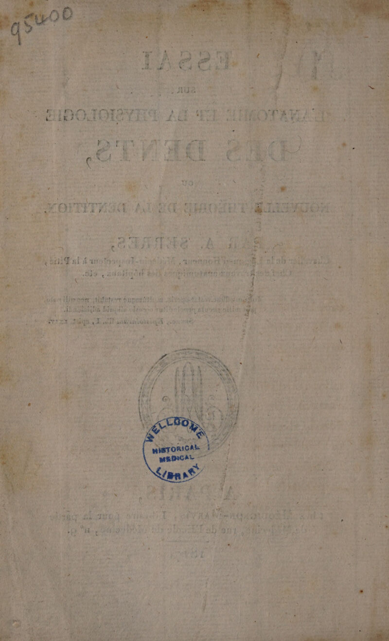 &amp; \ | ‘ta Si À IQ ig Pa ao HR At 'ursaao Ha d CL LR ù ! ne 02. « aout é è ba rbtiuts ) st PA RATES 10 CP AE à ? | tbe Ava oi ct nd ere Patio Lit D NN Te né. ÿ ALaerqia Bispils (NELSS Fo FU: Fa oem oi clin d + 4 Le re % d'a U Ci ©, bande