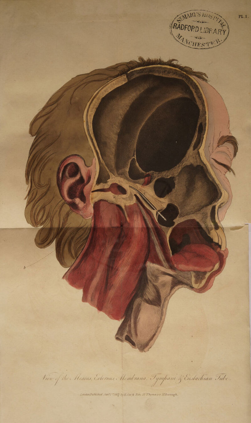 J 1 f ( eo, VAS / dep Fara, ' YOMY'S Hoes | as p> 3 ad So . / | ‘RADFo 2 ~ SO j Vey pat SS mate see H] f A, VA} Hy Mi 4 ar Ni SORT is Ra é , ! ey, bag 2 /YH AA A ) ( Mach tien . i AF 2 : rah