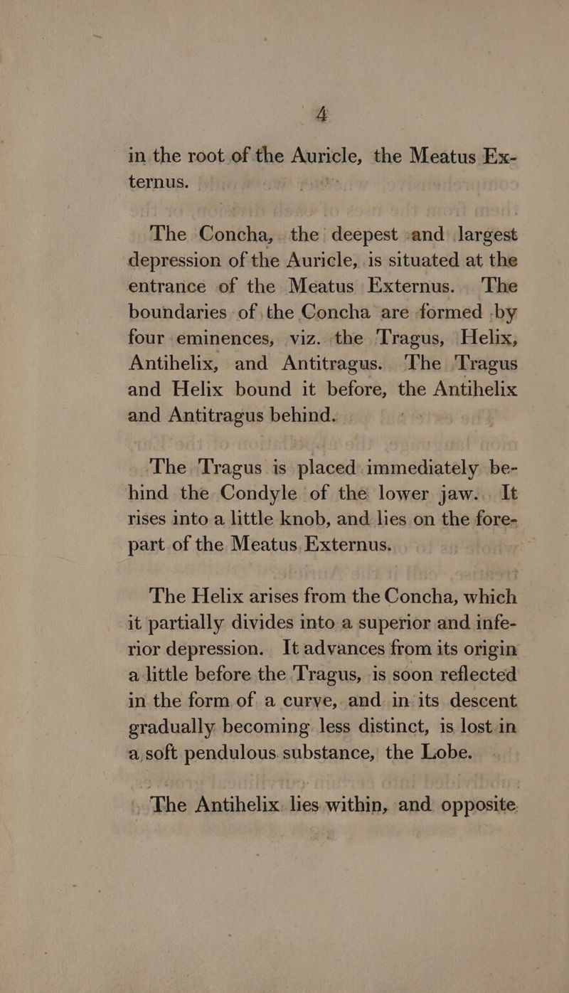 in the root of the Haale, the Meatus Ex- ternus. The Concha, the deepest and largest depression of the Auricle, is situated at the entrance of the Meatus Externus. The boundaries of the Concha are formed -by four eminences, viz. the Tragus, Helix, Antihelix, and Antitragus. The ‘Tragus and Helix bound it before, the Antihelix and Antitragus behind. The Tragus is placed. immediately. be- hind the Condyle of the lower jaw... It rises into a little knob, and lies on the fore- part.of the Meatus, Externus. The Helix arises from the Concha, which it partially divides into a superior and infe- rior depression. It advances from its origin a little before the Tragus, is soon reflected in the form of a curve, and. in its descent gradually becoming less distinct, is lost.in a soft pendulous. substance, the Lobe. . The Antihelix. lies within, and opposite.