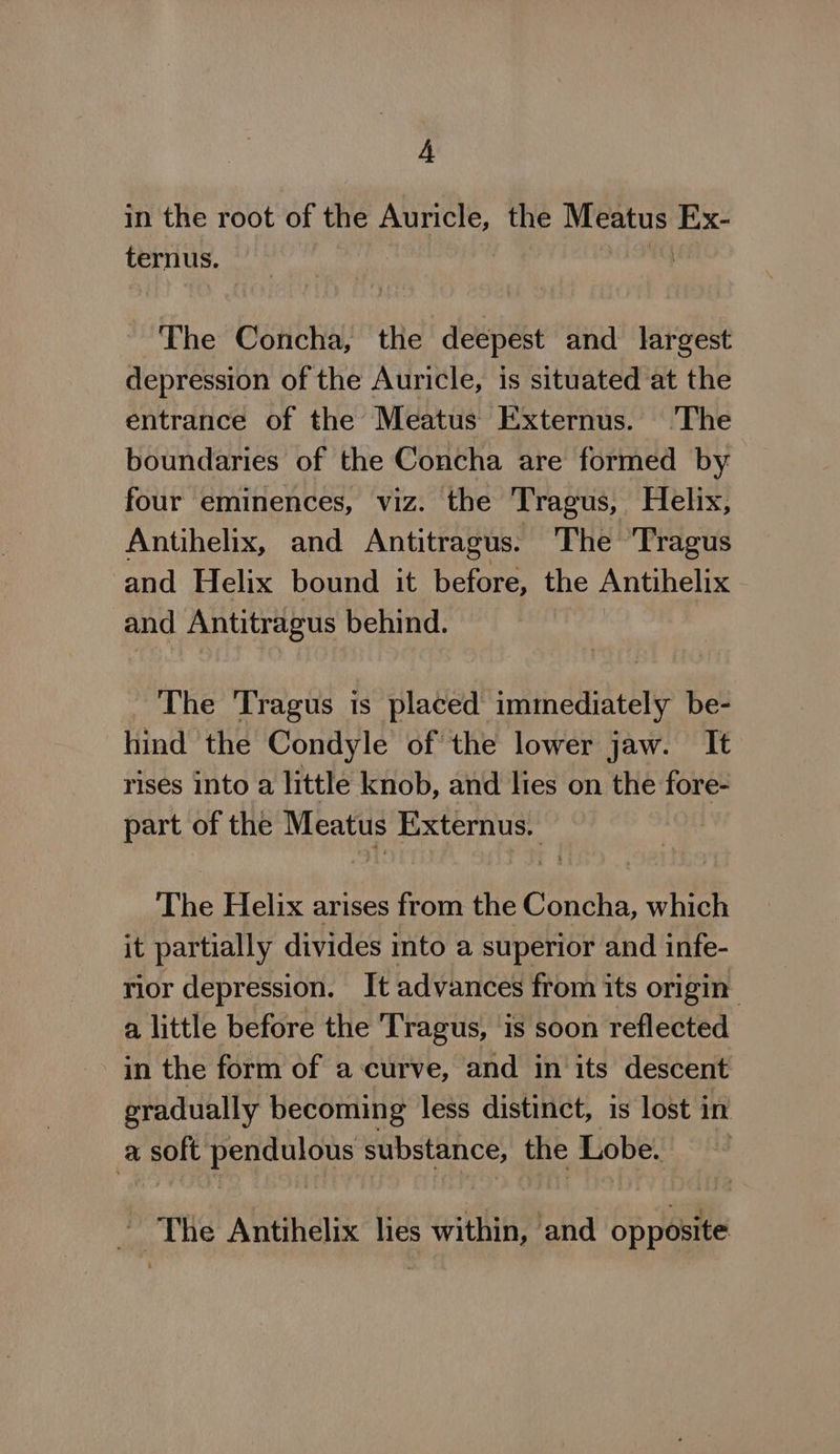 4A in the root of the Auricle, the Meatus feng ternus. The Concha, the deepest and largest depression of the Auricle, is situated at the entrance of the Meatus Externus. ‘The boundaries of the Concha are formed by four eminences, viz. the Tragus, Helix, Antihelix, and Antitragus. The Tragus and Helix bound it before, the Antihelix and Antitragus behind. ~The Tragus is placed immediately be- hind the Condyle of the lower jaw. It rises into a little knob, and lies on the fore- part of the Mi sey Externus. The Helix arises from the Cas a which it partially divides into a superior and infe- rior depression. It advances from its origin a little before the Tragus, is soon reflected in the form of a curve, and in its descent gradually becoming less distinct, is lost in a soft pendulous Rae the dae ~The Antihelix lies within, and Sout