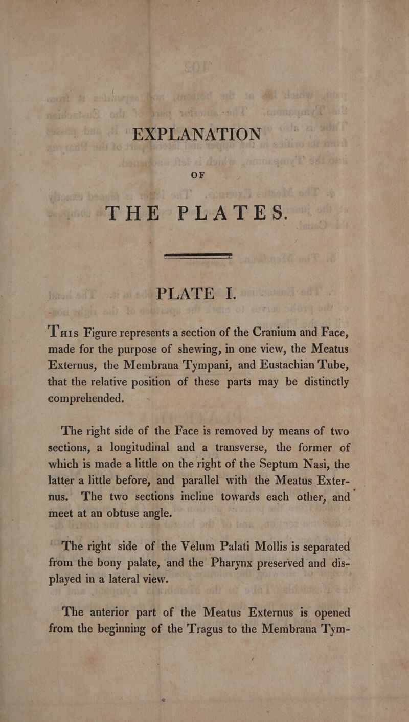 EXPLANATION OF TT: Hae PelAE BS PLATE I. ‘Tuts Figure represents a section of the Cranium and Face, made for the purpose of shewing, in one view, the Meatus Externus, the Membrana Tympani, and Eustachian Tube, that the relative position of these parts may be distinctly comprehended. The right side of the Face is removed by means of two sections, a longitudinal and a transverse, the former of which is made a little on the right of the Septum Nasi, the latter a little before, and parallel with the Meatus Exter- nus. The two sections incline towards each other, and meet at an obtuse angle. | ~The right side of the Velum Palati Mollis is separated from the bony palate, and the Pharynx preserved and dis- played in a lateral view. The anterior part of the Meatus Externus is Opened from the beginning of the Tragus to the Membrana Tym-