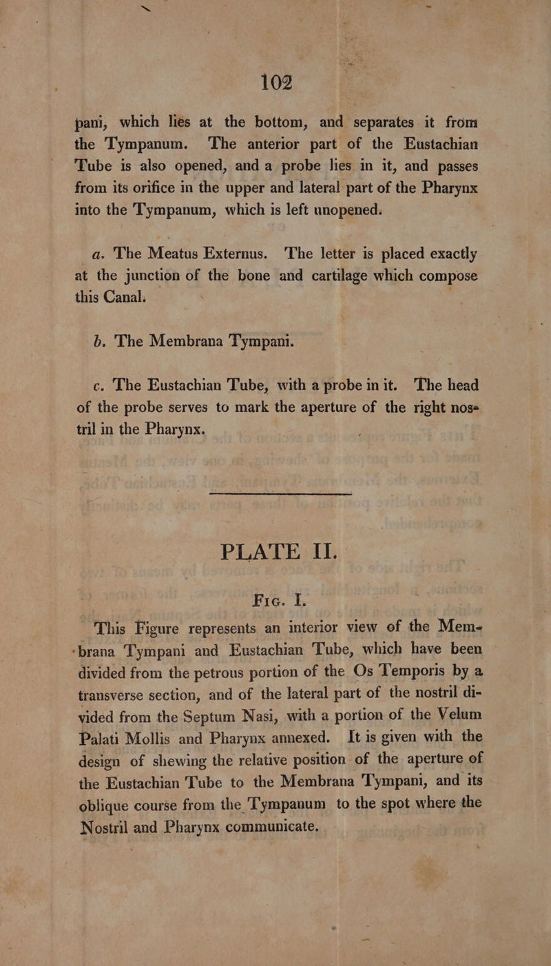 pani, which lies at the bottom, and separates it from the Tympanum. The anterior part of the Eustachian Tube is also opened, and a probe lies in it, and passes from its orifice in the upper and lateral part of the Pharynx into the Tympanum, which is left unopened. a. The Meatus Externus. The letter is placed exactly at the junction of the bone and cartilage which compose this Canal. b. The Membrana Tympani. c. The Eustachian Tube, with a probe init. The head of the probe serves to mark the aperture of the right nos tril in the Pharynx. PLATE II. Fie. I. This Figure represents an interior view of the Mem- ‘brana Tympani and Eustachian Tube, which have been divided from the petrous portion of the Os Temporis by a transverse section, and of the lateral part of the nostril di- vided from the Septum Nasi, with a portion of the Velum Palati Mollis and Pharynx annexed. It is given with the design of shewing the relative position of the aperture of the Eustachian Tube to the Membrana Tympani, and its oblique course from the Tympanum to the spot where the Nostril and Pharynx communicate.