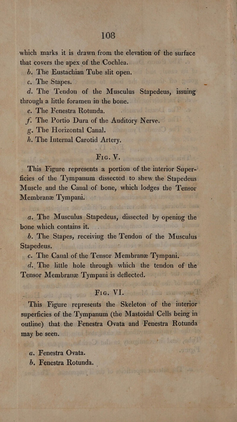 108 which marks it is drawn from the elevation of the surface that covers the apex of the Cochlea. b. The Eustachian Tube slit open. c. The Stapes. d. ‘The Tendon of the Musculus Stapedeus, issuing through a little foramen in the bone. e. ‘The Fenestra Rotunda. Ff. The Portio Dura of the Auditory Nerve. g. The Horizontal Canal. h. The Internal Carotid Artery. Fic. V. . This Figure represents a portion of the interior Super-' ficies of the T'ympanum dissected to shew the Stapedeus Muscle and the Canal of bone, which lodges the Tensor Membrane Tympani. a. The Musculus Stapedeus, dissected by opening the bone which contains it. b. The Stapes, receiving the Tendon of the Musculus Stapedeus. c. The Canal of the Tensor Membrane Tympani. d. The little hole through which the tendon of the Tensor Membrane Tympani is deflected. Fie. VI. ah ag This Figure represents the Skeleton of the interior superficies of the Tympanum (the Mastoidal Cells being in outline) that the Fenestra Ovata and Fenestra Rotunda may be seen. a. Fenestra Ovata.