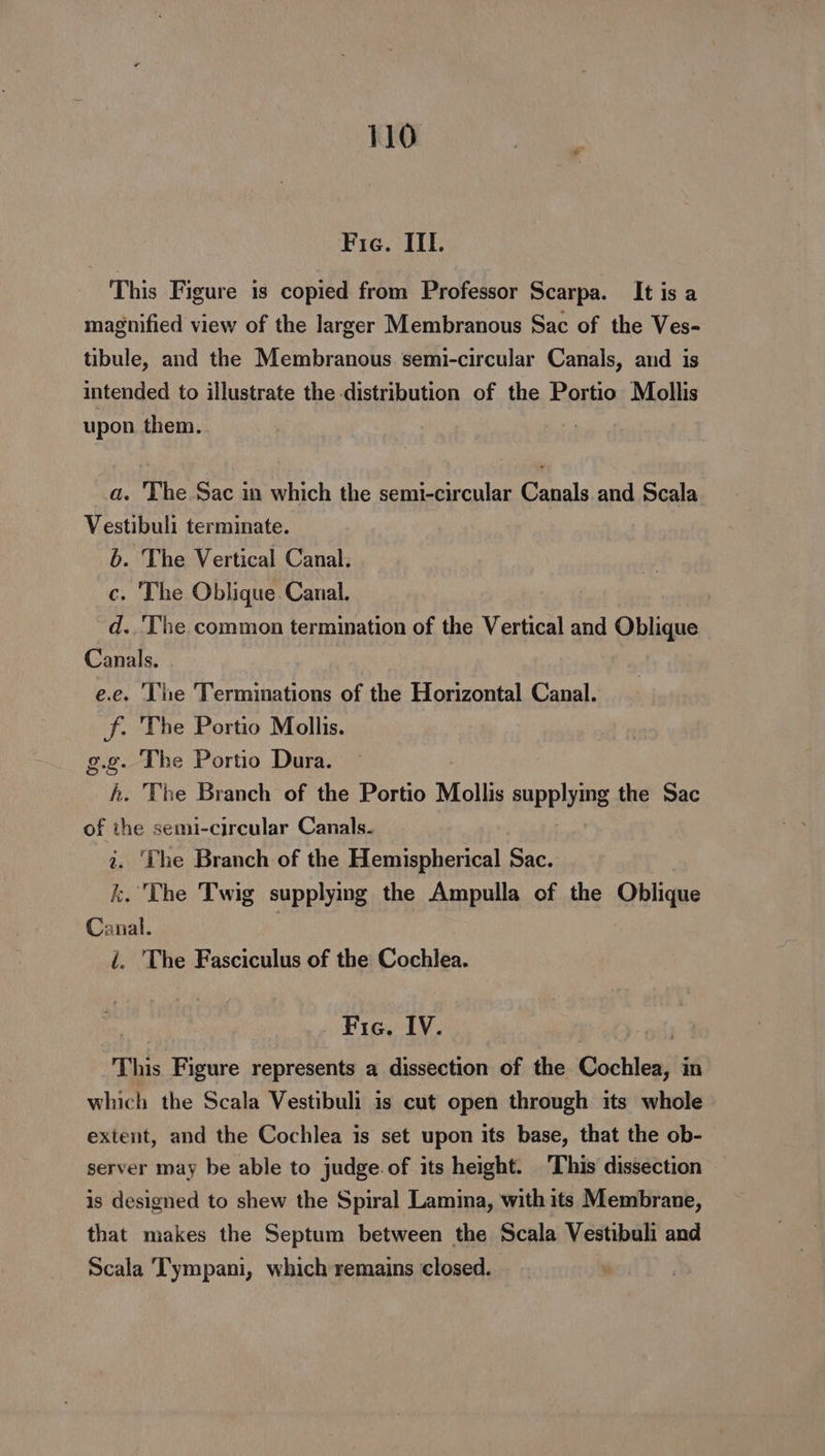 Fie. IIL. This Figure 1s copied from Professor Scarpa. It is a magnified view of the larger Membranous Sac of the Ves- tibule, and the Membranous semi-circular Canals, and is intended to illustrate the distribution of the Portio Mollis upon them. a. ‘The Sac in which the semi-circular Canals and Scala Vestibuli terminate. 6b. The Vertical Canal. c. The Oblique Canal. d..‘V'he common termination of the Vertical and Oblique Canals. e.e. ‘The Terminations of the Horizontal Canal. f. The Portio Mollis. g.g. The Portio Dura. h. The Branch of the Portio Mollis supplying the Sac of the semi-circular Canals. 2. ‘The Branch of the Hemispherical Sac. k. The Twig supplying the Ampulla of the Oblique Canal. i. The Fasciculus of the Cochlea. Fie. IV. This Figure represents a dissection of the Cochlea, in which the Scala Vestibuli is cut open through its whole extent, and the Cochlea is set upon its base, that the ob- server may be able to judge. of its height. ‘This dissection is designed to shew the Spiral Lamina, with its Membrane, that makes the Septum between the Scala Vestibuli and Scala Tympani, which remains closed.