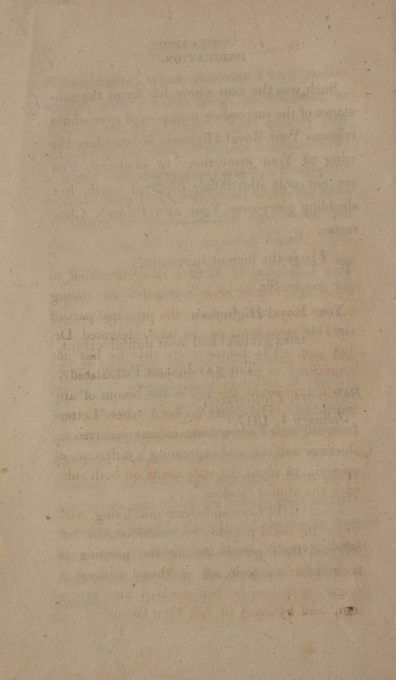 - 4 meth?) Fy f eae - he ~~ ere ee ae ‘ Tae Ce eee ) + vee
