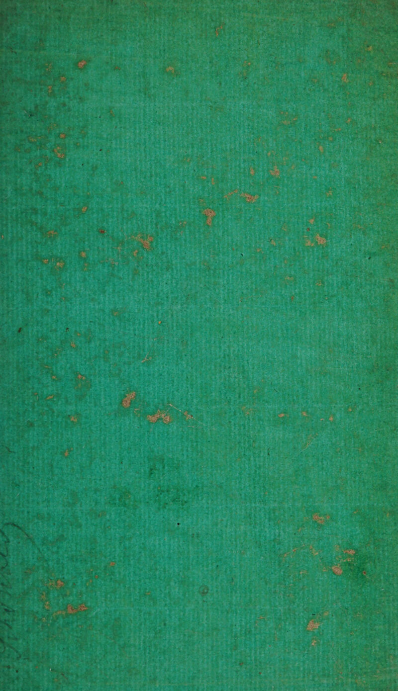 aim Fer uw PN n due) ni ur “ EEE er a! ARE 7 # . RITA Fi; 27 Es = z Pr BL ne ER nee m u Fa ARE : a