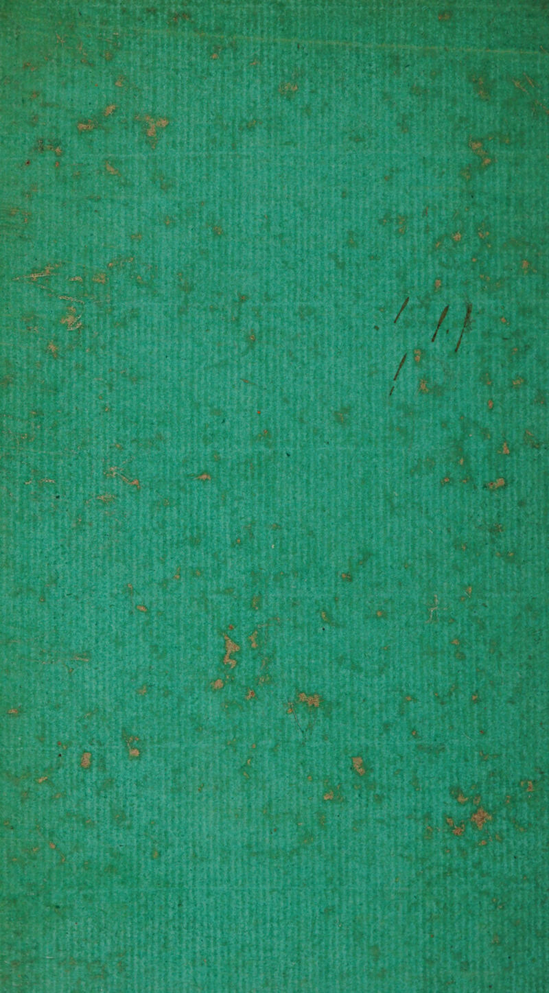 Pr Pr . s ö - mr re Pu . En En a a RE rg 2 Wh N Mn r tn dc ne nd FR Te > a Pr y 1 & Ali h er Eee U ne 2; Dee De 2 URL. are u, Wen A ee a er Ba € er ” ii a