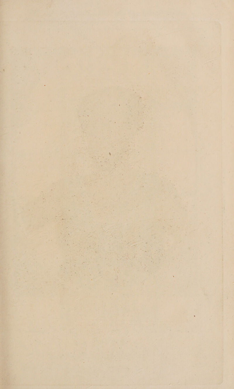 oe ne itty tian tinal ew nye Sow St hee me crane + nn Vers à ee . à