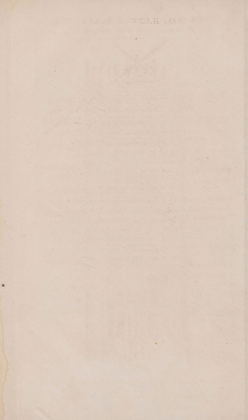 ù Ve LUN TETE ob * ¢ : es pee + j pen es hha oF, | oie A : : $ : 2 AN SVT ET “à ré Nate. ead is Con set : # ra