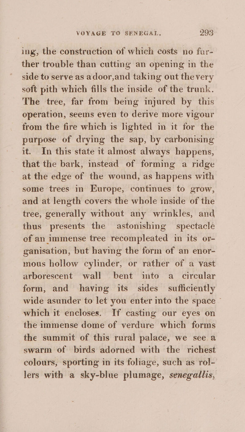 ing, the construction of which costs no fur- ther trouble than cutting an opening in the side to serve as a door,and taking out the very soft pith which fills the inside of the trunk. The tree, far from being injured by this — operation, seems even to derive more vigour from the fire which is lighted in it for the purpose of drying the sap, by carbonising it. In this state it almost always happens, that the bark, instead of forming a ridge at the edge of the wound, as happens with some trees in Europe, continues to grow, and at length covers the whole inside of the tree, generally without any wrinkles, and thus presents the astonishing spectacle of an immense tree recompleated in its or- ganisation, but having the form of an enor- mous hollow cylinder, or rather of a vast arborescent wall bent into a circular form, and having its sides sufficiently wide asunder to let you enter into the space — which it encloses. If casting our eyes on the immense dome of verdure which forms the summit of this rural palace, we see a swarm of birds adorned with the richest colours, sporting in its foliage, such as rol- lers with a sky-blue plumage, senegallis,