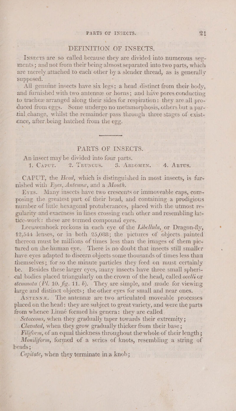 DEFINITION OF TNSECTS. Insects are so called because they are divided into numerous seg- ments; and not from their being almost separated into two parts, which are merely attached to each other by a slender thread, as is generally supposed. All genuine insects have six legs; a head distinct from their body, _ and furnished with two antenne or horns; and have pores conducting to trachee arranged along their sides for respitation : they are all pro- duced from eggs. Some undergo no metamorphosis, others but a par-- tial change, whilst the remainder pass through. three stages of exist- ence, after being hatched from the egg. PARTS OF INSECTS. An insect may be divided into four parts. TiO ePur. . LTRUNCUS. 3. ABDOMEN. 4. ARTUS. CAPUT, the Head, which is distinguished in most insects, is fur- nished with Eyes, Antenne, and.a Mouth. Eves. Many insects have two crescents or immoveable caps, com- posing the greatest part of their head, and containing a prodigious number of little hexagonal protuberances, placed with the utmost re- - gularity and exactness in lines crossing each other and resembling lat- tice-work: these are termed compound eyes. Leeuwenhoek reckons in each eye of the Libellula, or Dragon-fly, 12,544 lenses, or in both 25,088; the pictures of objects. painted thereon must be millions of times less than the i images of them pic-~ tured on the human eye. There is no‘doubt that insects still smaller have eyes adapted to discern objects some thousands of times less than themselves; for so the minute particles they feed on must certainly be. Besides these larger eyes, many insects have three small spheri- cal bodies placed triangularly on the crown of the head, called ocedli or stemmata (Pl. 10. fig. 11. b). They are simple, and made for viewing large and distinct objects; the other eyes for small and near ones. Antenne. ‘The antenne are two articulated moveable processes placed on the head: they are subject to great variety, and were the parts from whence Linné formed his genera: they are called Setaceous, when they gradually taper towards their extremity ; -Clavated, when they grow gradually thicker from their base ; Filiform, of an equal thickness throughout the whole of their length ; Moniliform, formed of a series of knots, resembling a string of beads; Cupitate, when they terminate in a knob;