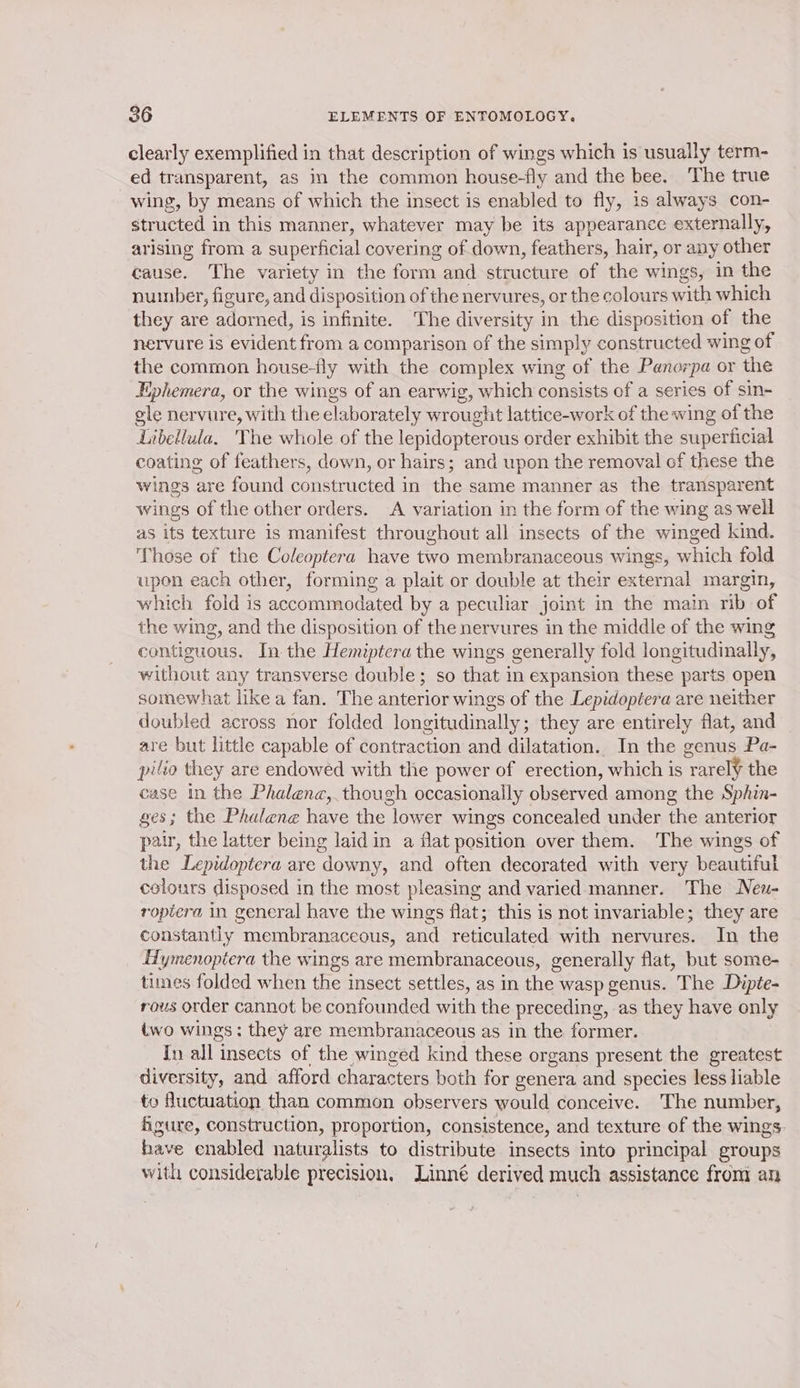 clearly exemplified in that description of wings which is usually term- ed transparent, as in the common house-fly and the bee. The true wing, by means of which the insect is enabled to fly, is always con- structed in this manner, whatever may be its appearance externally, arising from a superficial covering of down, feathers, hair, or any other cause. The variety in the form and structure of the wings, in the number, figure, and disposition of the nervures, or the colours with which they are adorned, is infinite. The diversity in the disposition of the nervure is evident from a comparison of the simply constructed wing of the common house-fly with the complex wing of the Panorpa or the Ephemera, or the wings of an earwig, which consists of a series of sin- gle nervure, with the elaborately wrought lattice-work of the wing of the Libellula, The whole of the lepidopterous order exhibit the superficial coating of feathers, down, or hairs; and upon the removal of these the wings are found constructed in the same manner as the transparent wings of the other orders. A variation in the form of the wing as well as its texture is manifest throughout all insects of the winged kind. Those of the Coleoptera have two membranaceous wings, which fold upon each other, forming a plait or double at their external margin, which fold is accommodated by a peculiar joint in the main rib of the wing, and the disposition of the nervures in the middle of the wing contiguous. In the Hemiptera the wings generally fold longitudinally, without any transverse double; so that in expansion these parts open somewhat like a fan. The anterior wings of the Lepidoptera are neither doubled across nor folded longitudinally they are entirely flat, and are but little capable of contraction and dilatation. In the genus Pa- patio they are endowed with the power of erection, which is Titel the case in the Phalena,. though occasionally observed among the Sphin- ges; the Phalene have the lower wings concealed under the anterior pair, the latter being laid in a flat position over them. The wings of the Lepidoptera are downy, and often decorated with very beautiful colours disposed in the most pleasing and varied manner. The New- ropiera in general have the wings flat; this is not invariable; they are constantly membranaccous, and reticulated with nervures. In the Hymenoptera the wings are membranaceous, generally flat, but some- times folded when the insect settles, as in the wasp genus. The Dipte- rous order cannot be confounded with the preceding, as they have only two wings: they are membranaceous as in the former. In all insects of the winged kind these organs present the greatest diversity, and afford characters both for genera and species less liable to fluctuation than common observers would conceive. The number, figure, construction, proportion, consistence, and texture of the wings. have enabled naturalists to distribute insects into principal groups with considerable precision, Linné derived much assistance from an