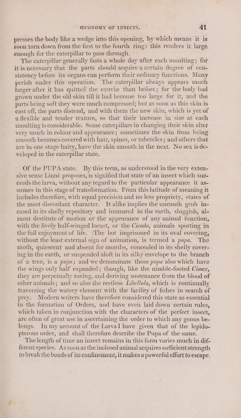 presses the body like a wedge into this opening, by which means it is soon torn down from the first to the fourth ring: this renders it large enough for the caterpillar to pass through. The caterpillar generally fasts a whole day after each moulting; for it is necessary that the parts should acquire a certain degree of con- sistency before its organs can perform their ordinary functions. Many perish under this operation. The caterpillar always appears much larger after it has quitted the exuvie than before; for the body had grown under the old skin till it had become too large for it, and the parts being soft they were much compressed; but as soon as this skin is cast off, the parts distend, and with them the new skin, which is yet of a flexible and tender texture, so that their increase in size at each moulting is considerable. Some caterpillars in changing their skin alter very much in colour and appearance; sometimes the skin from being smooth becomes covered with hair, spines, or tubercles; and others that are in one stage hairy, have the skin smooth in the next. No sex is de- veloped in the caterpillar state. Of the PUPA state. By this term, as understood in the very exten- sive sense Linné proposes, is signified that state of an insect which suc- ceeds the larva, without any regard to the particular appearance it as- sumes in this stage of transformation. From this latitude of meaning it includes therefore, with equal precision and no less propriety, states of the most discordant character. It alike implies the uncouth grub in- cased in its shelly repository and immured in the earth, sluggish, al- most destitute of motion or the appearance of any animal function, with the lively half-winged locust, or the Cicada, animals sporting in the full enjoyment of life. The bot imprisoned in its oval covering, without the least external sign of animation, is termed a pupa. The moth, quiescent and absent for months, concealed in its shelly cover- ing in the earth, or suspended aloft in its silky envelope to the branch of a tree, is a pupa; and we denominate those pupe also which have the wings only half expanded; though, like the nimble-footed Cimer, they are perpetually roving, and deriving sustenance from the blood of other animals; and so also the restless Libellula, which is continually traversing the watery element with the facility of fishes in search of prey. Modern writers have therefore considered this state as essential in the formation of Orders, and have even laid down certain rules, which taken in conjunction with the characters of the perfect insect, are often of great use in ascertaining the order to which any genus be- longs. In my account of the Larval have given that of the lepido- pterous order, and shall therefore describe the Pupa of the same. The length of time an insect remains in this form varies much in dif- ferent species. Assoonas the inclosed animal acquires sufficient strength to break the bonds of its confinement, it makes a powerful effort to escape.