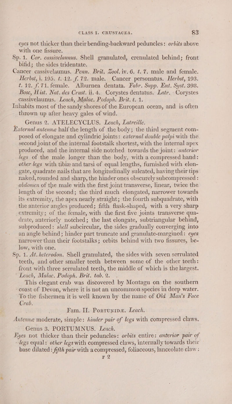 eyes not thicker than their bending-backward peduncles: orbits above with one fissure. Sp. 1. Cor. cassivelaunus. Shell granulated, crenulated behind; front bifid; the sides tridentate. Cancer. cassivelaunus. Penn. Brié. Zool. iv. 6. t. 7. male and female. Herbst, 1.195. t..12. f. 72. male. Cancer personatus. Herbst, 193. ¢. 12. f.71. female. Alburnea dentata, Fabr. Supp. Ent. Syst. 398. Bosc, Hist. Nat. des Crust. 11.4. Corystes dentatus. Latr. Corystes cassivelaunus. Leach, Malac. Podoph. Brit. t. 1. Inhabits most of the sandy shores of the European toni and is often thrown up after heavy gales of wind. Genus 2. ATELECYCLUS. Leach, Latreille. External dice half the length of the hodse the third segment com- posed of elongate and cylindric joints: external double ae with the second joint of the internal footstalk shortest, with the internal apex produced, and the internal side notched towards the joint: anterior legs of the male longer than the body, with a compressed hand: other legs with tibiz and tarsi of equal lengths, furnished with elon- gate, quadrate nails that are longitudinally sulcated, having their tips naked, rounded and sharp, the hinder ones obscurely subcompressed : abdomen of the male with the first joint transverse, linear, twice the length of the second; the third much elongated, narrower towards its extremity, the apex nearly straight; the fourth subquadrate, with the anterior angles produced; fifth flask-shaped, with a very sharp extremity; of the female, with the first five joints transverse qua- drate, anteriorly notched; the last elongate, subtriangular behind, subproduced: shell subcircular, the sides gradually converging into an angle behind ; hinder part truncate and granulate-margined: eyes narrower than their footstalks; orbits behind with two fissures, be- low, with one. Sp. 1. At. heterodon. Shell granulated, the sides with seven serrulated teeth, and other smaller teeth between some of the other teeth: front with three serrulated teeth, the middle of which is the largest. ~ Leach, Malac. Podoph. Brit. tab. 2. This elegant crab was discovered by Montagu on the southern ‘coast of Devon, where it is not an uncommon species in deep water. To the fishermen it is well known by the name of Old Man’s Face Crab. Fam. II. Porrunips. Leach. eine moderate, simple: hinder pair of legs with compressed claws. Genus 3. PORTUMNUS. Leach. Eyes not thicker than their peduncles: orbits entire: anterior pair of legs equal: other legs with compressed claws, internally towards their base dilated: fifth pair with a compressed, foliaceous, lanceolate claw : F2