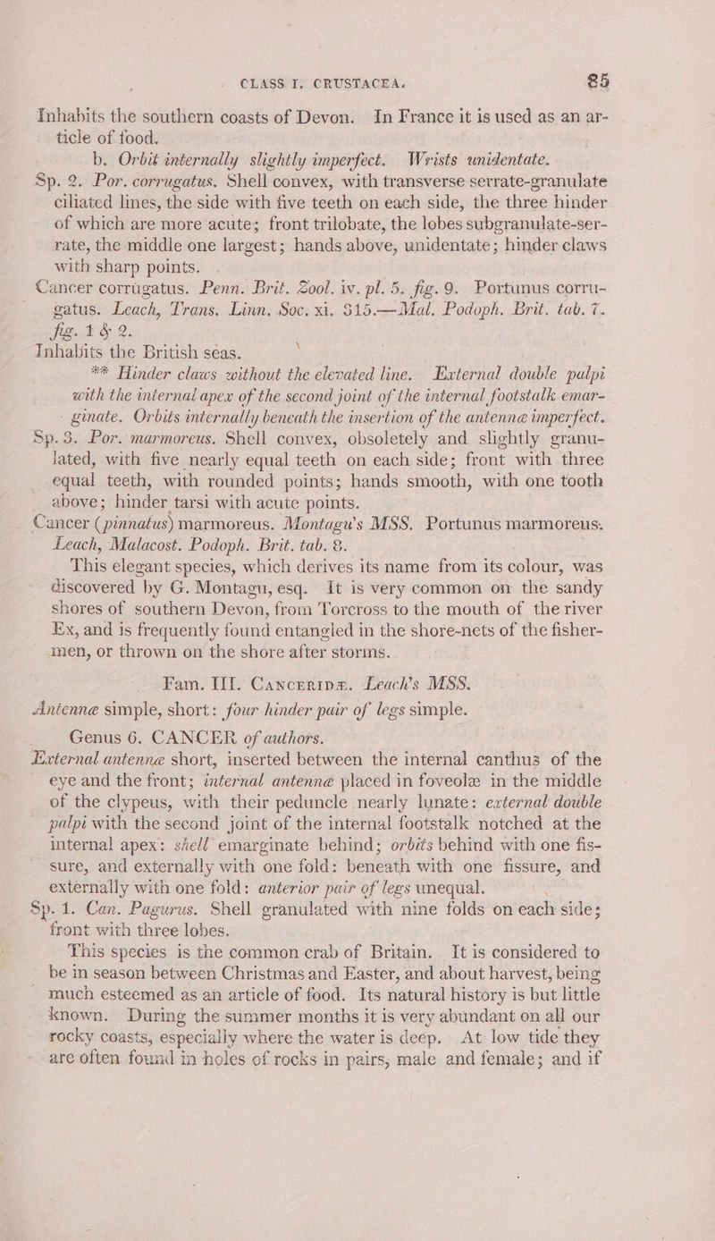 Tnhabits the southern coasts of Devon. In France it is used as an ar- ticle of food. b. Orbié internally slightly imperfect. Wrists unidentate. Sp. 2. Por. corrugatus. Shell convex, with transverse serrate-granulate ditined lines, the side with five teeth on each side, the thongs hinder of which are more acute; front trilobate, the lobes subgranulate-ser- rate, the middle one largest; hands above, unidentate; hinder claws with sharp points. Cancer corrugatus. Penn. Brit. Zool. iv. pl. 5. fig. 9. Portunus corru- - gatus. Leach, Trans. Linn. Soc. xi. 815.—Mal. Podoph. Brit. tab. 7. fig. 1 § 2 Inhabits the British seas. ** Hinder claws without the elevated line. External double palpi with the internal apex of the second Joint of “the internal footstalk, emar- - ginate. Orbits internally beneath the insertion of the antennae imperfect. Sp. 3. Por. marmoreus. Shell convex, obsoletely and slightly granu- lated, with five nearly equal teeth on each side; front with three equal teeth, with rounded points; hands smooth, with one tooth above ; hinder tarsi with acute points. Cancer ( pinadus) marmoreus. Montagu’s MSS. Portunus marmoreus. Leach, Malacost. Podoph. Brit. tab. 8. This elegant species, which derives its name from its colour, was discovered by G. Montagu, esq. it is very common on the sandy shores of southern Devon, from Torcross to the mouth of the river Ex, and is frequently found entangled in the shore-nets of the fisher- men, or thrown on the shore after storms. Fam. II. Cancrerips. Leach’s MSS. Antenne simple, short: four hinder pair of legs simple. _ Genus 6. CANCER of authors. Hxternal antenne short, inserted between the internal canthus of the eye and the front; internal antenne placed in foveole in the middle of the clypeus, with their peduncle nearly lunate: external double palpi with the second joint of the internal footstalk notched at the internal apex: siell emarginate behind; orbits behind with one fis- sure, and externally with one fold: beneath with one fissure, and externally with one fold: anterior pair of legs unequal. Sp. 1. Can. Pagurus. Shell granulated with nine folds on each sides front with three lobes. This species is the common crab of Britain. It is considered to be in season between Christmas and Easter, and about harvest, being much esteemed as an article of food. Its natural history is but little known. During the summer months it is very abundant on all our rocky coasts, especially where the water is deep. At low tide they are often found in holes of rocks in pairs, male and female; and if