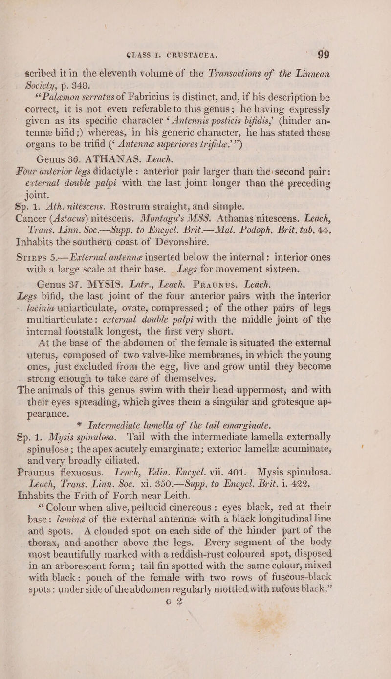 scribed itin the eleventh volume of the Transactions of the Linnean Society, p. 348. “ Palamon serratus of Fabricius is distinct, and, if his description be correct, it is not even referable to this genus; he having expressly given as its specific character ‘ Antennis posticis bifidis,’ (hinder an~ tenne bifid;) whereas, in his generic character, he has stated these organs to be trifid (¢ Antenne superiores trifide.’”) Genus 36. ATHANAS. Leach. Four anterior legs didactyle : anterior pair larger than the: second pair: external double pape with the last Jomt longer than the preceding joint. Sp. 1. Ath. nitescens. Rostrum straight, and simple. Cancer (Astacus) nitescens. Montagw’s MSS. Athanas nitescens. Leach, Trans. Linn. Soc.—Supp. to Encycl. Brit— Mal. Podoph. Brit. tab. 44. Inhabits the southern coast of Devonshire. Srirps 5.— External antenne inserted below the internal: interior-ones with a large scale at their base. . Legs for movement sixteen. Genus 37. MYSIS. Latr., Leach. Praunus. Leach. — bifid, the last joint of the four anterior pairs with the interior . bacinia uniarticulate, ovate, compressed ; of the other pairs of legs multiarticulate: external double palpi with the middle joint of the internal footstalk longest, the first very short. At the base of the abdomen of the female is situated the external uterus, composed of two valve-like membranes, in which the young ones, just excluded from the egg, live and grow until they become strong enough to take care of themselves, The animals of this genus swim with their head uppermost, and with their eyes spreading, which gives them a singular and grotesque ap- pearance. * Intermediate lamella of the tail emarginate. Sp. 1. Mysis spinulosa. Tail with the intermediate lamella externally spinulose; the apex acutely emarginate; exterior lamellz acuminate, and very broadly ciliated. Praunus flexuosus. Leach, Edin. Encycl. vii. 401. Mysis spinulosa. Leach, Trans. Linn. Soc. xi. 350.—Supp. to Encycl. Brit. 1. 422. Inhabits the Frith of Forth near Leith. ! “Colour when alive, pellucid cinereous : eyes black, red at their base: daminé of the external antenne with a black longitudinal line and spots. A clouded spot on each side of the hinder part of the thorax, and another above the legs. Every segment of the body most beautifully marked with a reddish-rust coloured spot, disposed in an arborescent form; tail fin spotted with the same colour, mixed with black: pouch of the female with two rows of fuscous-black spots: under side of the abdomen regularly mottled with rufous black,” G 2