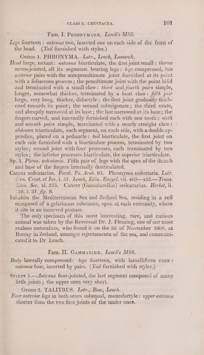 Fam. I. Poroyymapm. Leach’s MSS. Legs fourteen : antenne two, inserted one on each side of the front of the head. (ail furnished with styles.) | Genus 1. PHRONYMA.. Latr., Leach, Lamarck. Head large, nutant: antenne biarticulate, the first joint small : thorar seven-jointed, all its segments bearing legs: legs compressed, two anterior pairs with the antepenultimate joint furnished at its point with a foliaceous process ; the penultimate joint with the point bifid and terminated with a small claw: third and fourth pairs simple, longer, somewhat thicker, terminated by a bent claw: fifth pair large, very long, thicker, didactyle ; the first joint gradually thick- ened towards its point; the second subtrigonate; the third ovate, -and abruptly narrowed at its base; the last narrowed at its base; the fingers curved, and internally furnished each with one tooth: sixth and seventh pairs simple, terminated with a nearly straight claw: abdomen triarticulate, each segment, on each side, with a double ap- pendice, placed on a peduncle: tad biarticulate, the first jomt on each side furnished with a biarticulate process, terminated by two styles; second joint with four processes, each terminated by two styles; the inferior processes biarticulate, the superior triarticulate. Sp. 1. Phron. sedentaria. Fifth pair of legs with the apex of the thumb and base of the fingers internally denticulated. Cancer sedentarius. Forsk. Fn. Arab. 95. Phronyma sedentaria. Lat?. Gen. Crust. et Ins. 1. 57. Leach, Edin. Encycl. vii. 403—433.—Trans. finn. Soc. xi. 355. Cancer (Gammarellus) sedentarius. Herbst, 11. 186. t. $7. fig. 8. Inhabits the Mediterranean Sea and Zetland Sea, residing in a cell composed of a gelatinous substance, open at each extremity, where it sits in an incurved posture. The only specimen of this most interesting, rare, and curious animal was taken by the Reverend Dr. J. Fleming, one of our most zealous naturalists, who found it on the 3d of November 1809, at Burray in Zetland, amongst rejectamenta of the sea, and communi- cated it to Dr Leach. Fam. IT. Gammaripa. Leach’s MSS. - Body laterally compressed: legs fourteen, with lamelliform coxe : antenne four, inserted by pairs. (Tai furnished with styles.) Srinps 1.—Antenne four-jointed, the last segment composed of many little joints ; the upper ones very short. | Genus 2, TALITRUS. Laér., Bosc, Leach. Four anterior legs in both sexes subequal, monodactyle: upper antenne shorter than the two first joints of the under ones.