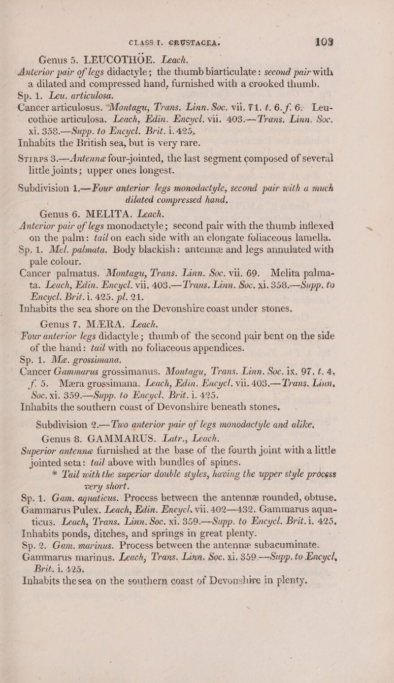 Genus 5. LEUCOTHOE. Leach. Anterior pair of legs didactyle; the thumb biarticulate: second pair with a dilated and compressed hand, furnished with a crooked thumb. Sp. 1. Leu. articulosa. Cancer articulosus. “Montagu, Trans. Linn. Soc. vil. 71. t.6.f. 62 Leu- cothoe articulosa. Leach, Edin. Encycl. vii. 403.—Trans. Linn. Soc. xl. 358.—Supp. to Encyel. Brit. 1.425, Inhabits the British sea, but is very rare. Srrrps 3.—Antenne four-jointed, the last segment composed of several little joints; upper ones longest. Subdivision 1,—Four anterior legs monodactyle, second pair with a much dilated compressed hand, Genns 6. MELITA. Leach. Anterior pair of legs monodactyle; second pair with the thumb inflexed - on the palm: fail on each side with an elongate foliaceous lamella. Sp.1. Mel. palmata. Body blackish: antenne and legs annulated with pale colour. Cancer palmatus. Montagu, Trans. Linn. Soc. vil. 69. “Melita. palma- ta. Leach, Edin. Encycl. vii. 403.— Trans. Linn. Soc. xi. 358. ai to Encycl. Brit.i 1.425. pl. 21. Inhabits the sea shore on the Devonshire coast under stones. Genus 7. MERA. Leach. Four anterior legs didactyle; thumb of the second pair bent on the side of the hand: ¢ai/ with no foliaceous appendices. Sp. 1. Mae. grossimana. Cancer Gammarus grossimanus. Montagu, Trans. Linn. Soc. ix, 97. t. 4. f.5. Mera grossimana. Leach, Edin. Encycl. vii.403.— Trans. Linn, Soc. xi. 359.—Supp. to Encycl. Brit. i. 425. Inhabits the southern coast of Devonshire beneath stones. Subdivision 2.— Two anterior pair of legs monodactyle and ee Genus 8. GAMMARUS. Latr., Leach. Superior antenne furnished at the base of the fourth joint with a little jointed seta: tail above with bundles of spines. | * Tail with the superior double styles, having the upper style process very short. Sp. 1. Gam. aquaticus. Process between the antenne rounded, obtuse. Gammarus Pulex. Leach, Edin. Encycl, vii. 402—432. Gammarus aqua- ticus. Leach, Trans. ie Soc. xi. 359.—Supp. to Encycl. Brit.i. 425, Tnhabits see ditches, and springs in great plenty. | Sp. 2. Gam. marinus. Process between the antenne subacuminate. Gammarus marinus. Leach; Trans. Linn. Soc. xi. 359. —Supp. to Encycl, Brit. 1. 425, Inhabits thesea on the southern coast of Devonshire in plenty.