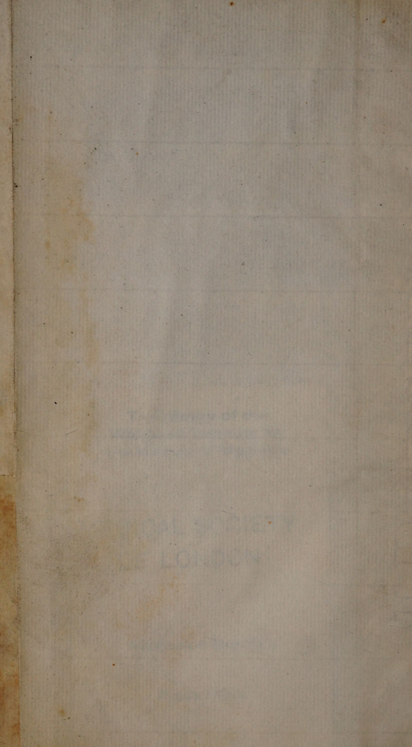 ra nal aie ¥ + etna a Favey et ae “ Pen a om ag eek eo Te eM Ae .