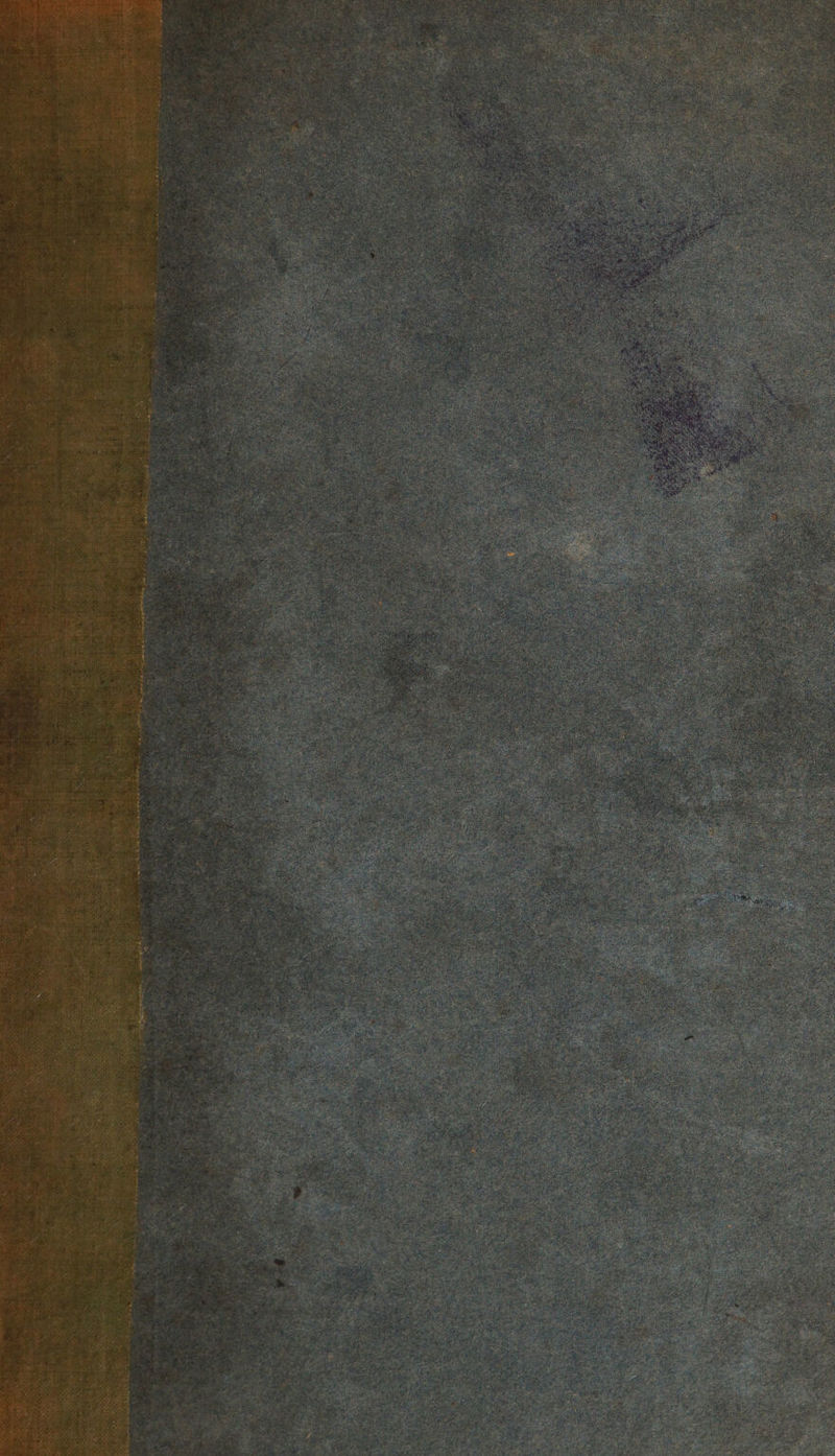 BS aut ae SD FS, ais