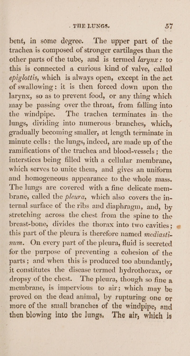 bent, in some degree. The upper part of the trachea is composed of stronger cartilages than the other parts of the tube, and is termed larynx: to this is connected a curious kind of valve, called epigloitis, which is always open, except in the act of swallowing: it is then forced down upon the larynx, so as to prevent food, or any thing which may be passing over the throat, from falling into the windpipe. The trachea terminates in- the lungs, dividing into numerous. branches, which, gradually becoming smaller, at length terminate in minute cells: the lungs, indeed, are made up of the ramifications of the trachea and blood-vessels ; the interstices being filled with a cellular membrane, which serves to unite them, and gives an uniform and homogeneous appearance to the whole mass. The lungs are covered with a fine delicate mem- brane, called the pleura, which also covers the in- ternal surface of the ribs and diaphragm, and, by stretching across the chest from the spine to the breast-bone, divides the thorax into two cavities; this part of the pleura is therefore named mediasti- num. On every part of the pleura, fluid is secreted for the purpose of preventing a cohesion of the parts; and when this is produced too abundantly, it constitutes the disease termed hydrothorax, or dropsy of the chest. ‘The pleura, though so fine a membrane, is impervious to air; which may be proved on the dead animal, by rupturing one or more of the small branches of the windpipe, and then blowing into the Jungs, The air, whieh ig