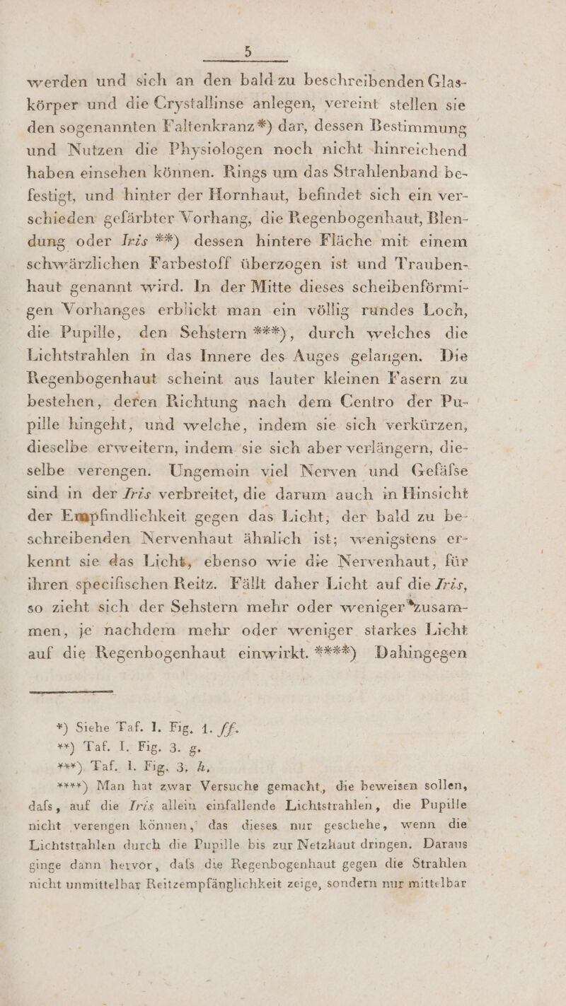 &gt; wreerden und sich an den bald zu beschreibenden Glas- körper und die Crystallinse anlegen, vereint stellen sie den sogenannten Faltenkranz *) dar, dessen Bestimmung und Nutzen die Physiologen noch nicht -hinreichend haben einsehen können. Rings um das Strahlenband be- festigt, und hinter der Hornhaut, befindet sich ein ver- BEER gefärbter Vorhang, die Begenbogenhaut, Blen- dung a“ Iris **) ale hintere Fläche mit einem schwärzlichen Farbestoff überzogen ist und Trauben- haut genannt wird. In der Mitte dieses scheibenförmi- gen Vorhanges erblickt man ein völlig rundes Loch, die Pupille, den Sehstern ***), durch welches die Lichtstrahlen in das Innere des Auges gelangen. Die Regenbogenhaut scheint aus lauter kleinen Fasern zu bestehen, deren Richtung nach dem Centro der Pu- pille hingeht, und welche, indem sie sich verkürzen, dieselbe erweitern, indem sie sich aber verlängern, die- selbe verengen. Ungemein viel Nerven und Gefäfse sind in der /ris verbreitet, die darum auch in Hinsicht der Empfindlichkeit gegen das Licht; der bald zu be- schreibenden Nervenhaut ähnlich ist; wrenigsiens er- kennt sıe das Licht, ebenso wie die Nervenhaut, für ihren specifischen Reitz. Fällt daher Licht auf die Iris, so zieht sich der Sehstern mehr oder weniger *zusam- men, je nachdem mehr oder weniger starkes Licht auf die Regenbogenhaut einwirkt. ***%) Dahingegen *) Siehe Taf. 1. Fig, 1. ff. m) Tal. I Fed ”r), Taf. 1. Fig, 3, %, *+**) Man hat zwar Versuche gemacht, die beweisen sollen, dafs, auf die Iris allein einfallende Lichistrahlen, die Pupille nicht ‚verengen können,’ das dieses nur geschehe, wenn die Lichtstrahlen durch die Pupille bis zur Netzhaut dringen. Daraus ginge dann hervor, dafs die Regenbogenhaut gegen die Strahlen nicht unmittelbar Reitzempfänglichkeit zeige, sondern nur mittelbar