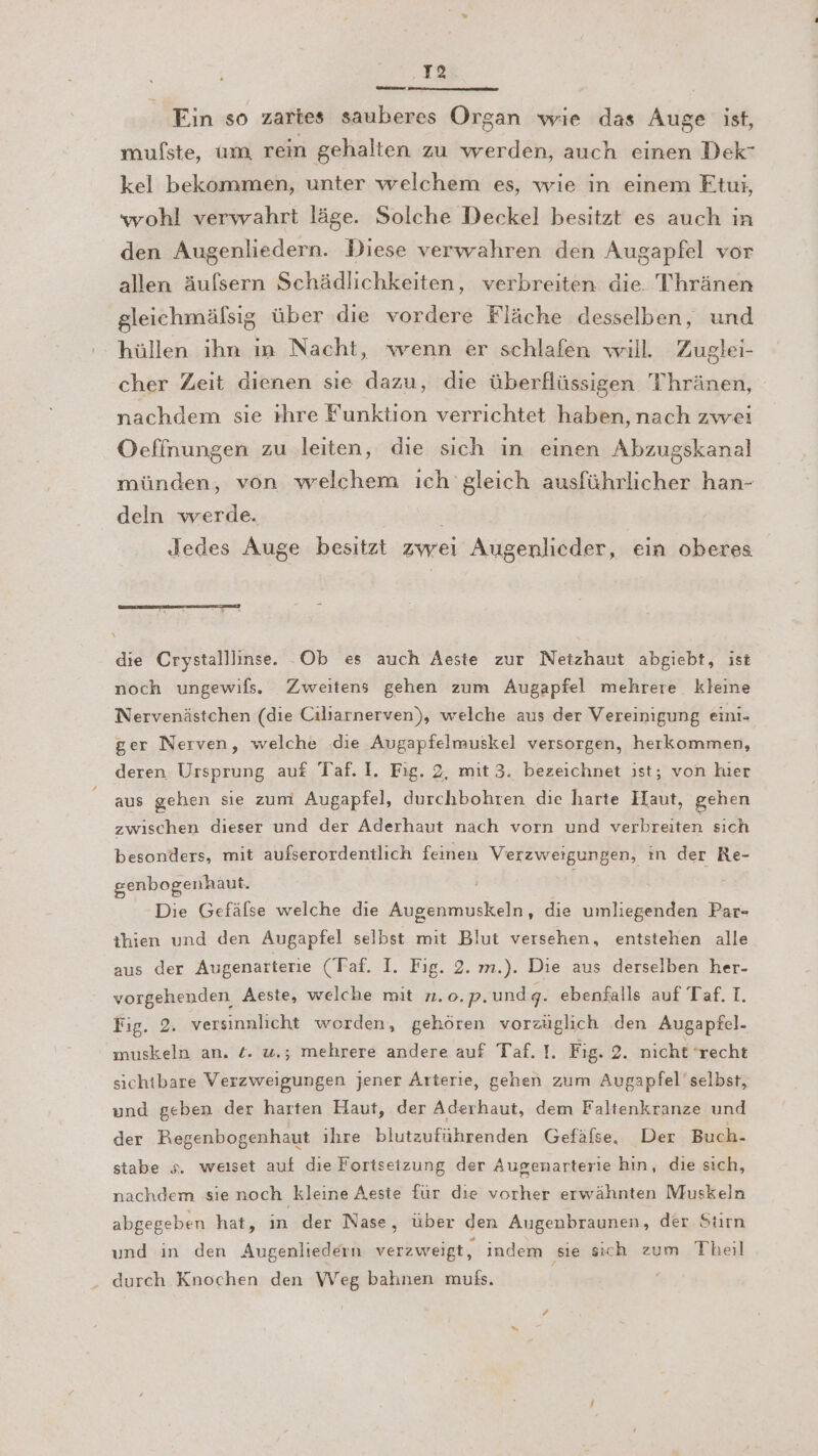‚I2 Ein so zartes sauberes Organ wie das Auge ist, mufste, um rein gehalten zu werden, auch einen Dek- kel bekommen, unter welchem es, wie in einem Etui, wohl verwahrt läge. Solche Deckel besitzt es auch in den Augenliedern. Diese verwahren den Augapfel vor allen äufsern Schädlichkeiten, verbreiten die. Thränen gleichmälsig über die vordere Fläche desselben, und hüllen ihn ın Nacht, wenn er schlafen will. Zuglei- cher Zeit dienen sıe dazu, die überflüssigen T'hränen, nachdem sie ıhre Funktion verrichtet haben, nach zwei Oeffnungen zu leiten, die sich in einen Abzugskanal münden, von welchem ich gleich ausführlicher han- deln werde. Jedes Auge besitzt zwei Augenlieder, ein oberes noch ungewifs. Zweitens gehen zum Augapfel mehrere kleine Nervenästchen (die Cilsarnerven), welche aus der Vereinigung eini. ger Nerven, welche .die Augapfelmuskel versorgen, herkommen, deren Ursprung auf Taf. I. Fıg. 2, mit 3. bezeichnet ıst; von hier aus gehen sie zum Augapfel, durchbohren die harte Haut, gehen zwischen dieser und der Aderhaut nach vorn und verbreiten sich besonders, mit aufserordentlich feinen Verzweigungen, ın der Re- genbogenhaut. ! Die Gefäfse welche die Augenmuskeln, die umliegenden Par- ihien und den Augapfel selbst mit Blut versehen, entstehen alle aus der Augenarterie (Taf. I. Fıg. 2. m.). Die aus derselben her- vorgehenden Aeste, welche mit n.o.p.und q- ebenfalls auf Taf. I. Fig. 2. versinnlicht worden, gehören vorzüglich den Augapfel. muskeln an. £. u.; mehrere andere auf Taf. 1. Fig. 2. nicht ‘recht sichtbare Verzweigungen jener Arterie, gehen zum Augapfel’selbst, und geben der harten Haut, der Aderhaut, dem Faltenkranze und der Regenbogenhaut ihre blutzuführenden Gefäfse. Der Buch- stabe s. weıset auf die Fortsetzung der Augenarterie hin, die sich, nachdem sie noch kleine Aesie für die vorher erwähnten Muskeln abgegeben hat, ın der Nase, über den Augenbraunen, der Stırn und in den Augenliedern verzweigt, indem sie sich zum Theil durch Knochen den \VVeg bahınen mufs. '