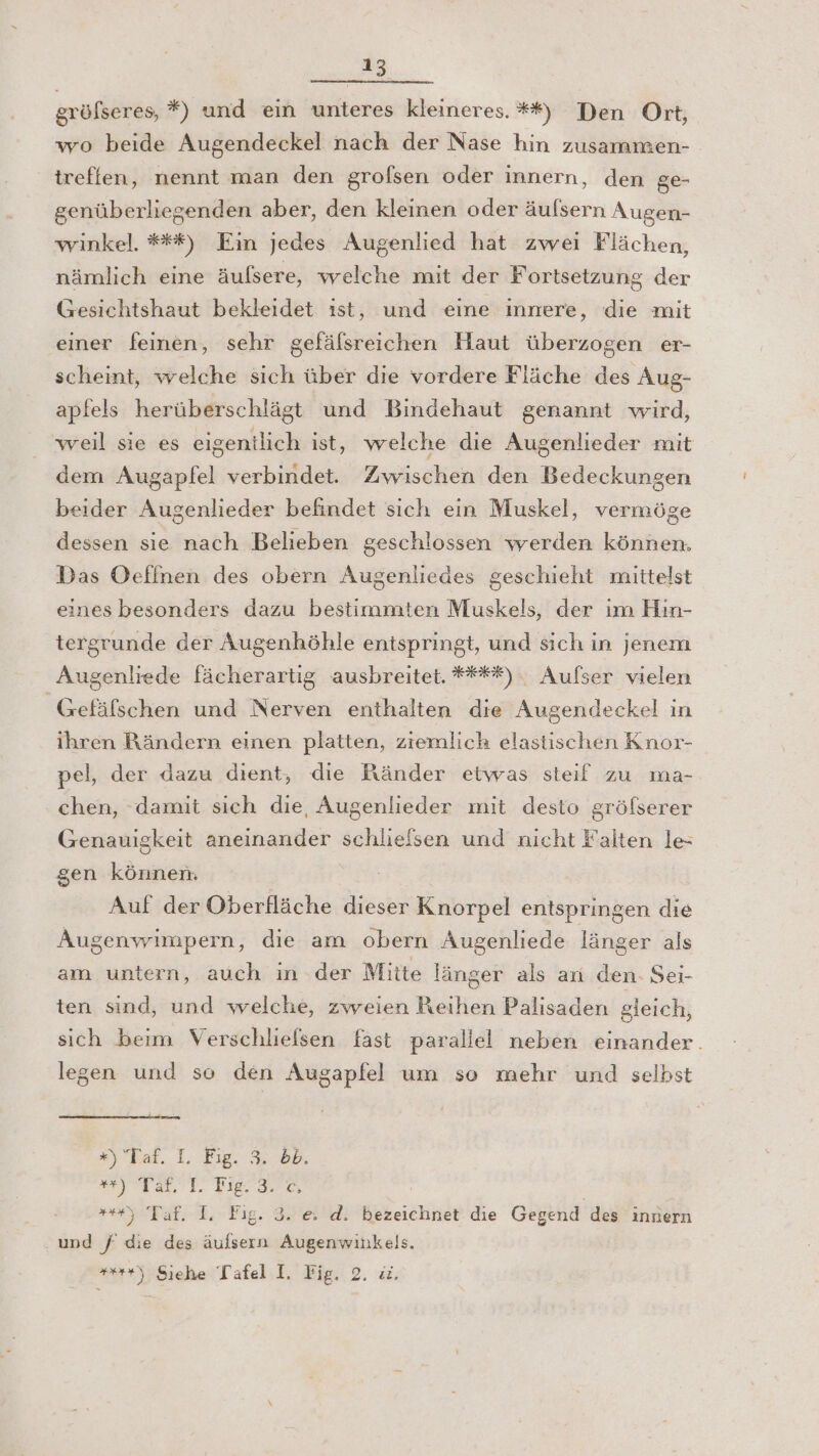 gröfseres, *) und ein unteres kleineres. **) Den Ort, wo beide Augendeckel nach der Nase hin zusammen- treffen, nennt man den grofsen oder innern, den ge- genüberliegenden aber, den kleinen oder äufsern Augen- winkel. #**) Ein jedes Augenlied hat zwei Flächen, nämlich eine äufsere, welche mit der Fortsetzung der Gesichtshaut bekleidet ıst, und eine Innere, die mit einer feinen, sehr gefälsreichen Haut überzogen er- scheint, welche sich über die vordere Fläche des Aug- apfels herüberschlägt und Bindehaut genannt wird, weil sie es eigentlich ist, welche die Augenlieder mit dem Augapfel verbindet. Zwischen den Bedeckungen beider Augenlieder befindet sich ein Muskel, vermöge dessen sie nach Belieben geschlossen werden können. Das Oellnen des obern Augenliedes geschieht mittelst eines besonders dazu bestimmten Muskels, der im Hın- tergrunde der Augenhöhle entspringt, und sich in jenem Augenliede fächerartig ausbreitet. ****). Aufser vielen Gefäfschen und Nerven enthalten die Augendeckel in ihren Rändern einen platten, ziemlich elastischen Knor- pel, der dazu dient, die Ränder etwas steif zu ma- chen, ‘damit sich die, Augenlieder mit desto gröfserer Genauigkeit aneinander schlielsen und nicht Falten le- gen können. Auf der Oberfläche dieser Knorpel entspringen die Augenwimpern, die am obern Augenliede länger als am untern, auch in der Mitte länger als ari den. Sei- ten sind, und welche, zweien Reihen Palisaden gleich, sich beim Verschlielsen fast parallel neben einander. legen und so den Augapfel um so mehr und selbst #7 Bat. 1..Eıg. 3.05. u A Be EA a! | N) Taf. I. Fig. 2. e& d. bezeichnet die Gegend des innern ‚und / die des äufsern Augenwihkels. er) Sıehe Tafel:I. Fig. ©