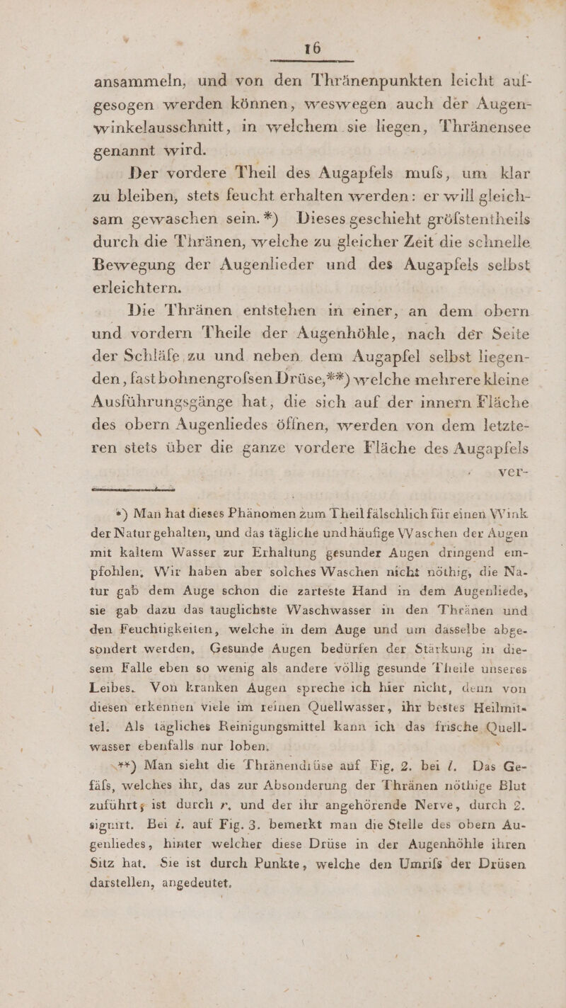 ansammeln, und von den Thränenpunkten leicht auf- gesogen werden können, weswegen auch der Augen- winkelausschnitt, in welchem ..sie liegen, Thränensee genannt wird. Der vordere Theil des Augapfels mufs, um klar zu bleiben, stets feucht erhalten werden: er will gleich- sam gewaschen sein.*) Dieses geschieht gröfßstentheils durch die Thränen, welche zu gleicher Zeit die schnelle Bewegung der Augenlieder und des Augapfels selbst erleichtern. Die Tihränen entstehen ın einer, an dem obern und vordern Theile der Augenhöhle, nach der Seite der Schläle zu und neben. dem Augapfel selbst liegen- den, fastbohnengrofsen Drüse,#**) welche mehrere kleine Ausführungsgänge hat, die sich auf der innern Fläche des obern Augenliedes öffnen, werden von dem letzte- ren stets über die ganze vordere Fläche des Augapfels NEer- *) Man hat dieses Phänomen zum Theil fälschlich für einen Wınk der Natur gehalten, und das tägliche und häufige VV aschen der Augen mit kaltem Wasser zur Erhaltung gesunder Augen dringend em- pfohlen, Wir haben aber solches Waschen nicht nöthig, die Na- tur gab dem Auge schon die zarteste Hand ın dem Augenliede, sie gab dazu das tauglichste Waschwasser ın den T'hränen und den Feuchtigkeiten, welche ın dem Auge und um dasselbe abge- sondert werden, Gesunde Augen bedürfen der Stärkung in die- sem Falle eben so wenig als andere völlig gesunde Theile unseres Leibes. Von kranken Augen spreche ıch hier nicht, deun von diesen erkennen viele ım reinen Quellwasser, ihr bestes Heilmit- tel: Als tägliches Reinigungsmittel kann ich das frische Quell- wasser ebenfalls nur loben, k +) Man sieht die Thränendiüse auf Fig, 2. bei !. Das Ge- fäfs, welches ıhr, das zur Absonderung der Thränen nötluge Blut zuführtz ist durch r, und der ihr angehörende Nerve, durch 2 sigrirt. Bei zZ. auf Fig. 3. bemerkt man die Stelle des obern Au- genliedes, hinter welcher diese Drüse in der Augenhöhle ihren Sıtz hat, Sıe ıst durch Punkte, welche den Umrifs der Drüsen darstellen, angedeutet.