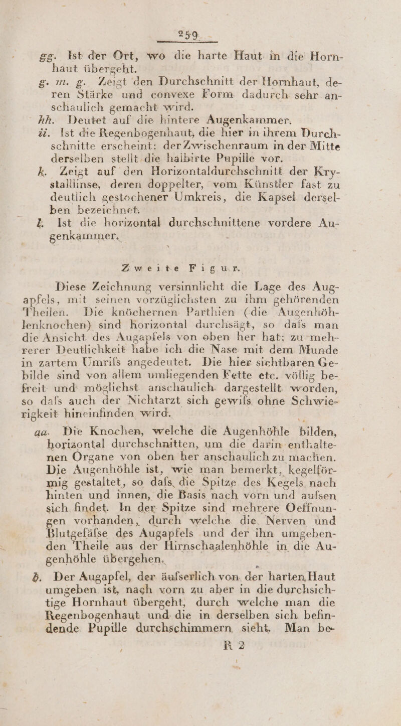 gg. Ist der Ort, wo die harte Haut ın die Horn- haut übergeht. g. m. g. Zeigt den Durchschnitt der Homhaut, de- ren Stärke und convexe Form dadurch sehr. an schaulich gemacht wırd. | hh. Deutet auf die hintere Augenkammer. ü. Ist die Regenbogenhaut, die hier in ihrem Durch- schnitte erscheint: derZwischenraum in der Mitte derselben stellt.die halbirte Pupille vor. k. Zeigt auf den Horizontaldurchschnitt der Kry- stalliinse, deren doppelter, vem Künstler fast zu deutlich gestochener Umkreis, die Kapsel dersel- ben bezeichnet. 2. Ist die horizontal durchschnittene vordere Au- genkammer. Zweite Figur. Diese Zeichnung versinnlicht die Lage des Aug- apfels, mit seinen vorzüglichsten zu ihm gehörenden Theilen. Die knöchernen Parthien (die Augenhöh- . * . 1 REP ar lenknochen) sind horizontal durchsägt, so dals man die Ansicht des Augapfels von oben her hat; zu meh- in zartem Umrils angedeutet. Die hier sichtbaren Ge- bilde sind von allem umliegenden Fette etc. völlig be- freit und: möglichst anschaulich. dargestellt: worden, so dafs auch der Nichtarzt sich gewils ohne Schwie- rigkeit hineinfinden wird. | € aa. Die Knochen, welche die Augenhöhle bilden, horizontal durchschnitten, um die darin enthalte- nen Organe von oben her anschaulich zu machen. Die Augenhöhle ist, wie man bemerkt, kegelför- mig gestaltet, so dafs die Spitze des Kegels nach hinten und innen, die Basis nach vorn und aufsen sich findet. In der Spitze sind mehrere Oeffnun- en vorhanden, durch welche die. Nerven und Blutgefälse des Augapfels und der ihn umgeben- den Theile aus der Hirnschaalenhöhle in die Au- genhöhle übergehen. ; ö. Der Augapfel, der äufserlich von. der harten, Haut umgeben ist, nach vorn zu aber in die durchsich- tige Hornhaut übergeht, durch welche man die Regenbogenhaut und. die in derselben sich befin- dende Pupille durchschimmern. sieht. Man be A 2 /