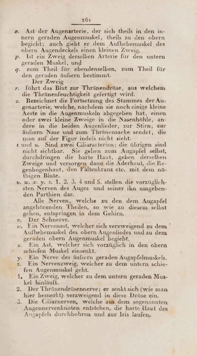 o. Ast der Augenarterie, der sich theils in den in- nern geraden Augenmuskel, theils zu den obern begiebt; auch giebt er dem Aufhebemuskel des obern Augendeckels einen kleinen Zweig. p. Ist ein Zweig derselben Arterie für den untern geraden Muskel, und g. zum Theil für ebendenselben, zum Theil für den geraden äulsern bestimmt. Der Zweig 2 = r. führt das Blut zur Thränendrüse, aus welchem die Thränenfeuchtigkeit gefertigt wird. s. Bezeichnet die Fortsetzung des Stammes der Au; genarterie, welche, nachdem sie noch einige kleine Aeste in die Augenmuskeln abgegeben hat, einen oder zwei kleine Zweige in die Nasenhöhle, an- dere ın die beiden Augenlieder, zur Stirn, zur äufsern Nase und zum T’hränensacke sendet, die man auf der Figur indels nicht sieht. t. und u. Sind zwei Ciliararterien; die übrigen sind nicht sichtbar. Sie gehen zum Augapfel selbst, durchdringen die harte Haut, geben derselben Zweige und versorgen dann die Aderhaut, die Re- enbogenhaut, den Faltenkranz etc. mit dem nö- thigen Blute. v. w. x. y. 2. 4. 2. 3. Aund5. stellen die vorzüglich- sten Nerven des Auges und seiner ikn umgeben- den Parthien dar. Alle Nerven, welche zu den dem Augapfel angehörenden 'T'heilen, so wie zu diesem selbst gehen, entspringen in dem Gehirn. v. Der Sehnerve. w. Ein Nervenast, welcher sich verzweigend zu dem ' Aufhebemuskel des obern Augenliedes und zu dem geraden obern Augenmuskel begiebt. x. Ein Ast, welcher sich vorzüglich in den obern sehiefen Muskel einsenkt. y. Ein Nerve des äulsern geraden Augapfelmuskels, z. Ein Nervenzweig, welcher zu dem untern schie- fen Augenmuskel geht. 1. Ein Zweig, welcher zu dem untern geraden Mus- kel hinläuft. 2. Der T'hränendrüsennerve; er senkt sich (wie man hier bemerkt) verzweigend in diese Drüse ein. 3. Die Ciliarnerven, welche aus dem sogenannten Augennervenknoten. entstehen, die harte Haut des Augapfels durchbohren und zur Iris laufen,