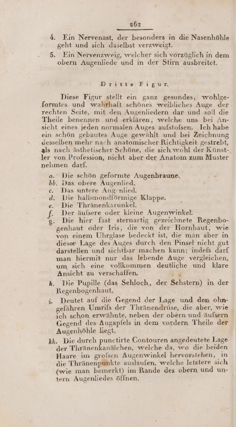 geht und sich daselbst verzweigt. Ein Nervenzweig, welcher sich vorzüglich in dem obern Augenliede und in der Stirn ausbreitet. Dritte Fiıgür, Diese Figur stellt ein ganz gesundes, wohlge- ' Die schön geformte Augenbraune. - wenn nn d Das untere Augenlied. Die halbmondförmige Klappe. Die 'Thränenkaärunkel. Der äufsere oder kleine Augenwinkel. Die hier fast sternartig gezeichnete Regenbo- genhaut oder Iris, die von der Hornhaut, wie von einem Uhrglase bedeckt ist, die man aber ın dieser Lage des Auges durch den Pinsel nicht gut darstellen und sichtbar machen kann; indefs darf man hiermit nur das lebende Auge vergleichen, um sich eine vollkommen deutliche und klare Ansicht zu verschaffen. w Die Pupille (das Sehloch, der Sehstern) in der Regenbogenhaut, Deutet auf die Gegend der Lage und den ohn- gefähren Umrils der Thränendrüse, die aber, wie ich schon erwähnte, neben der obern und äufsern Augenhöhle liegt. der Fhränenkanälchen, welche da, wo die beiden Haare im grofsen Augenwinkel hervorstehen, ın die Thränenpunkte auslaufen, welche letztere sich (wie man bemerkt) im Rande des obern und un- | tern Augenliedes öffnen.