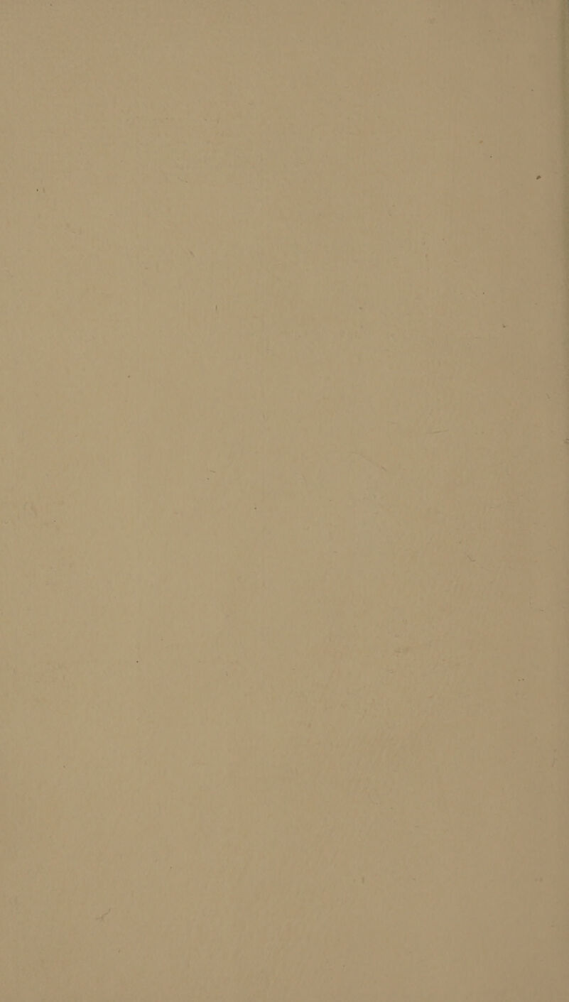 4 tse i wy en! ik Ses te? ane, Oy rk Cea A £4 ‘ : ‘és r ae * ey ' ies) ¢ - q » * ’ » f . é ab ie + y ” ‘a hi f fa | ' a r i x 5 7 + + = - ‘ é Pie 4 h af es . 7 ] ‘ = Ch te j est “< < 1 sa 9° aitht ; 1 7 + Cs i \ os ‘ se ‘ ei 1 ss > ‘ ‘ f 4 5 - a ~*t Try: i : i J is “, - | el Ai | By 45 yA he OUT, hte dh ae dis” cys