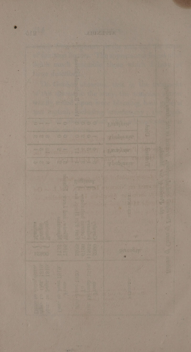 ' , << elie aes Ce F2TS faq. * * + et ee eee a | ‘tee lan ‘weit ” Sa 95 Or 2OFe - A tf has i : oe bu ¢. LE e. ba 5 4 Sar Laer