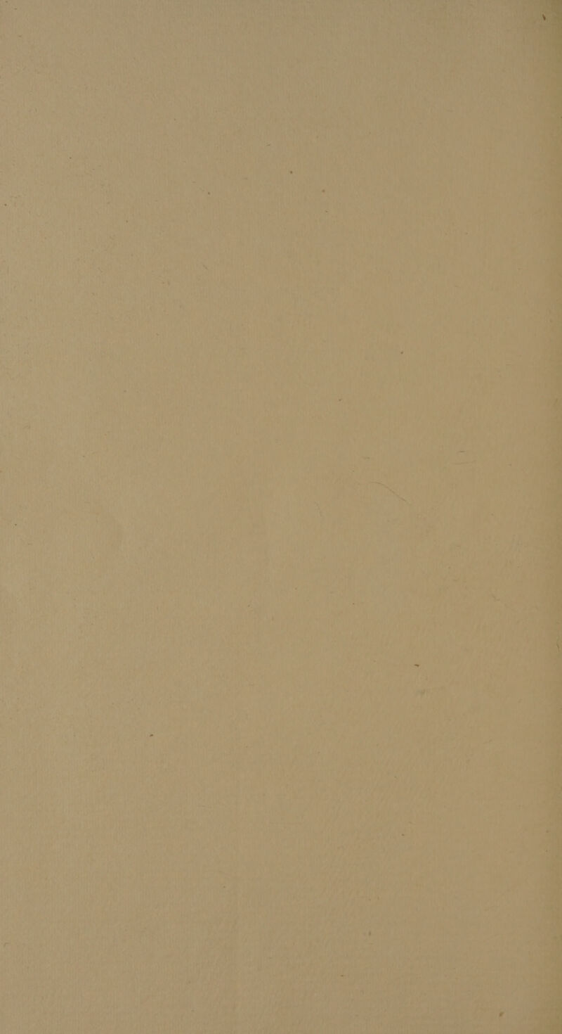 bir i ar Aaa 2 mba! ST) Srnec fF Sa. Pils ae ee al | 4 HEAT Y a Ya a eee eee a ve DP, 1 tied &amp; are 8, be P| mii pF ts 1 sy 1 fii +59 al mis 7 Th : be 4 a a Cate, 7 a aN Mal