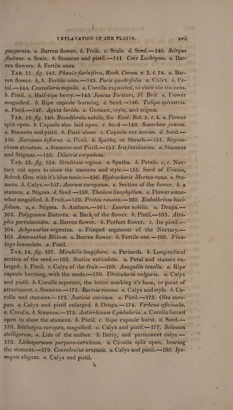 | ¥XPLANATION OF THE PLATES. xvii ptuperata. a. Barren flower. b, Fruit. c. Scale. d. Seed.—140. Scirpus ren flowers. 6. Fertile ones. Tas. 11. fig. 142. Phenix farinifera, Rorb. Corom. 0.1. t. 74. a, Bar- ren flower. b, 6. Fertile ones.—143. Paris quadrifolia a, Calyx. b. Pe- tal.—144. Convallaria majalis, a. Corolla expanded, to show the stamens. b. Pistil. c. Half-ripe berry.—145. Juncus Forsteri, Fl. Brit. a. Flower magnified. 6. Ripe capsule bursting. c. Seed.—146. Tulipa sylvestris. a. Pistil.—147. Agave luridu. a. Germen, style, and stigma. TAB. 12. fig. 148. Blandfordia nobilis, Sn. Exot. Bot. 5. t.4. a. Flower split open. 6. Capsule also laid open. c. Seed —149. Sowerbaa juncea. a, Stamens and pistil. 6. Pistil alone .c. Capsule cut across. d. Seed.— 150. Narcissus biflorus. a. Pistil. b. Syatha, or Sheath.—151. Sisyrin- chium striatum. a.Stamens and Pistil.—152. Iris fetidissima. a. Stamens and Stigmas.—153. Dilatris corymbosa. TaB. 13. fig. 154. Strelitzia regine. a.Spatha. 6. Petals. c, c. Nec- tary cut open to show the stamens and style.—155. Seed of Urania, Schreb. Gen. with it’s blue tunic.—156. Hydrocharis Morsus- rane. a. Sta- mens, b. Calyx.—157. Asarum europeum. a. Section of the flower. 6. a stamen. ¢. Stigma. d. Seed —158. Thesium linophyllum. a. Flower some-_ what magnified. b. Fruit—159. Protea rosacea.—160. Embothrium buxi- Solium. a,a. Stigma. b. Anthers.—161. Laurus nobilis. a. Drupa.— 162. Polygonum Bistorta. a. Back of the flower. 6. Pistil—163. Atri- plex portulacoides.. a. Barren flower. 6. Perfect flower. c. Its pistil.— 164. Achyranthes argentea. a. Fringed segments of the Nectary.— 165. Amaranthus Blitum. a, Barren flower. 6. Fertile one.—166. Plan- tago lanceolata. a. Pistil. Tas. 14. fig. 167. Mirabilis longiflora. a. Perianth. 6. Longitudinal section of the seed.—168. Siatice reticulata. «a. Petal and stamen en- larged. 0. Pistil. c. Calyx of the fruit—169. Anagallis tenella. a. Ripe capsule bursting, with the seeds.—170. Utricularia vulgaris. a. Calyx and pistil. 6. Corolla separate, the letter marking it’s base, or point of attachment. c.Stamens.—171. Bartsia viscosa. a. Calyx and style. b.Co- rolla and stamens.—172. Justicia coccinea. a. Pistil—173. Olea euro- pea. a. Calyx and pistil enlarged. 6. Drupa—1i74. Verbena officinalis, a. Corolla, b. Stamens.—175. Antirrhinum Cymbalaria. a. Corolla forced open to show the stamens. 6. Pistil. c. Ripe capsule burst. d. Seed.— 176. Sibthorpia europea, magnified. a. Calyx and pistil.—177. Solanum stelligerum, a. Lids of the anther. 6. Berry, and permanent calyx — 178. Lithospermum purpuro-ceruleum. a. Corolla split open, bearing” the stamens,—179. Convolvulus arvensis, a, Calyx and pistil.—180. Ipo- mopsis elegans. a. Calyx and pistil.