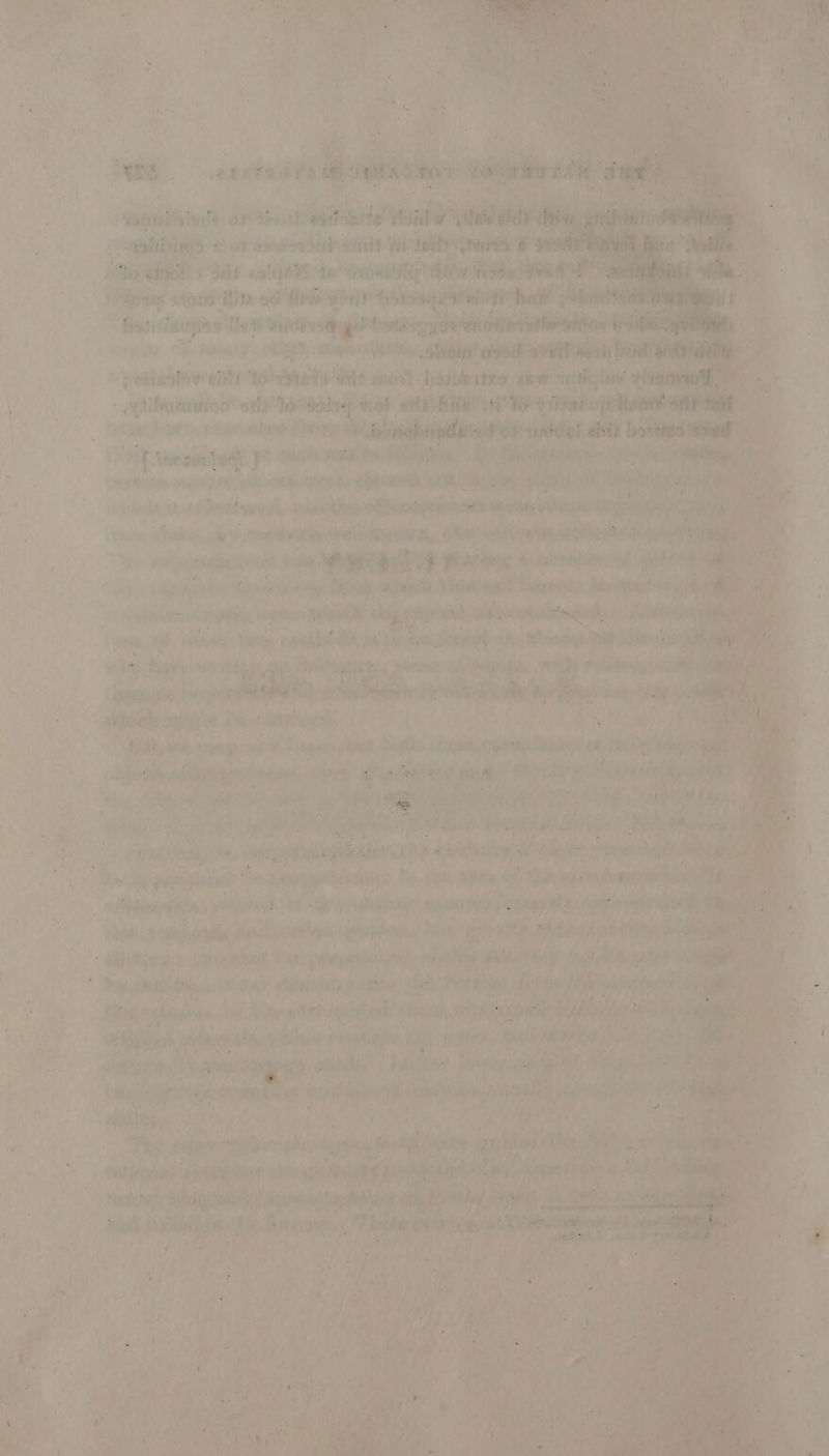 hy ined 4 ‘ity ig eH ne ‘ re bh: Sapte sted Rive od nie eH shits Sav ee met lecniepaee. ee tage sres fhe 1 eapotesg gel bentiey ine ose ; De) 7 watt aikn tuna Pu Pare. 2 REIS seit na nT GOR . ‘pettabaeveant jp preitercoor! asneies ae wine wht i svamnmeetienrei: ts Bas ; Agee done Ei Pilaet tac i009 fer i] ae uit weit Finca ea PIND WN Cate ene Sa keds a ti healsce sy ati F neg Lis acca Pe te ein