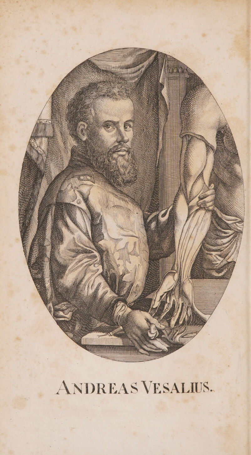 SI II SEN III I SS SS SS