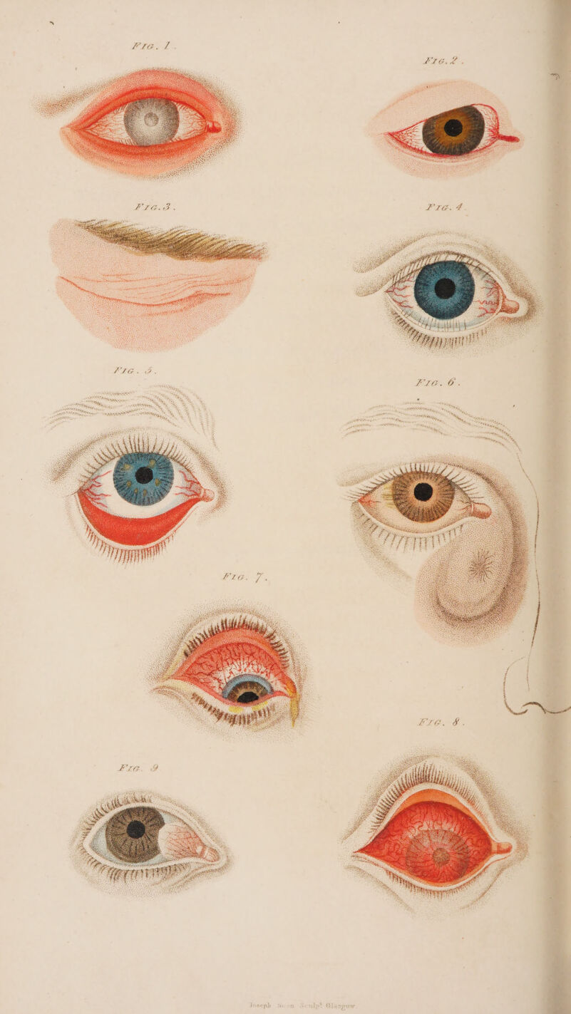 os, NIAMS @i all t *