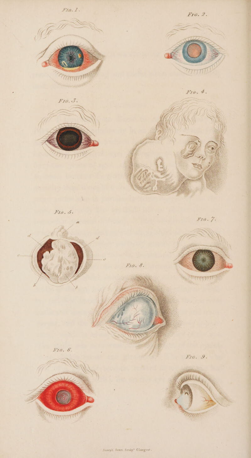 “CF - i we 44 att} Swan Perey: } a)