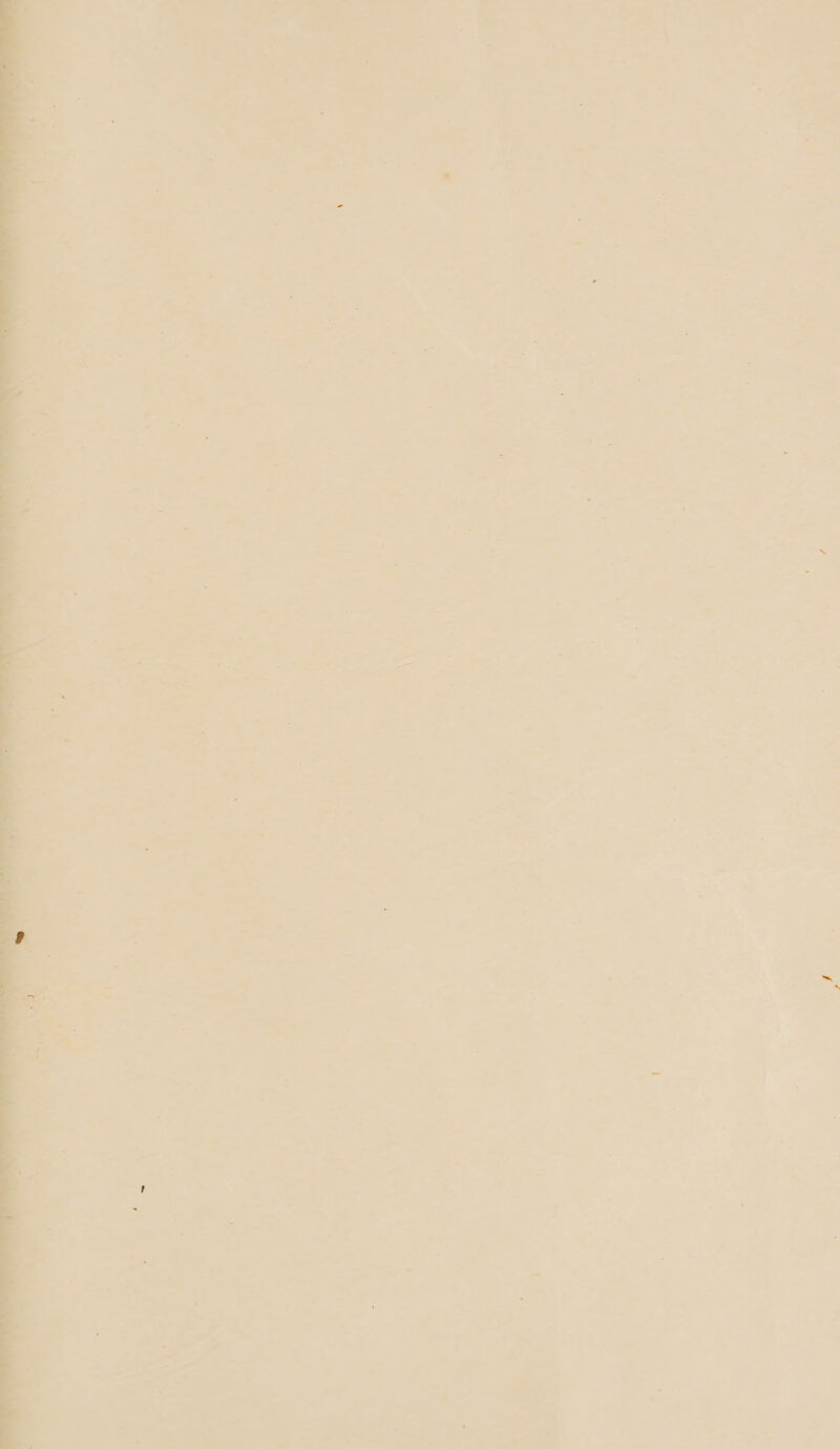 > = a Pa, is ; - aa iv * an ae Se = - ~ “ t