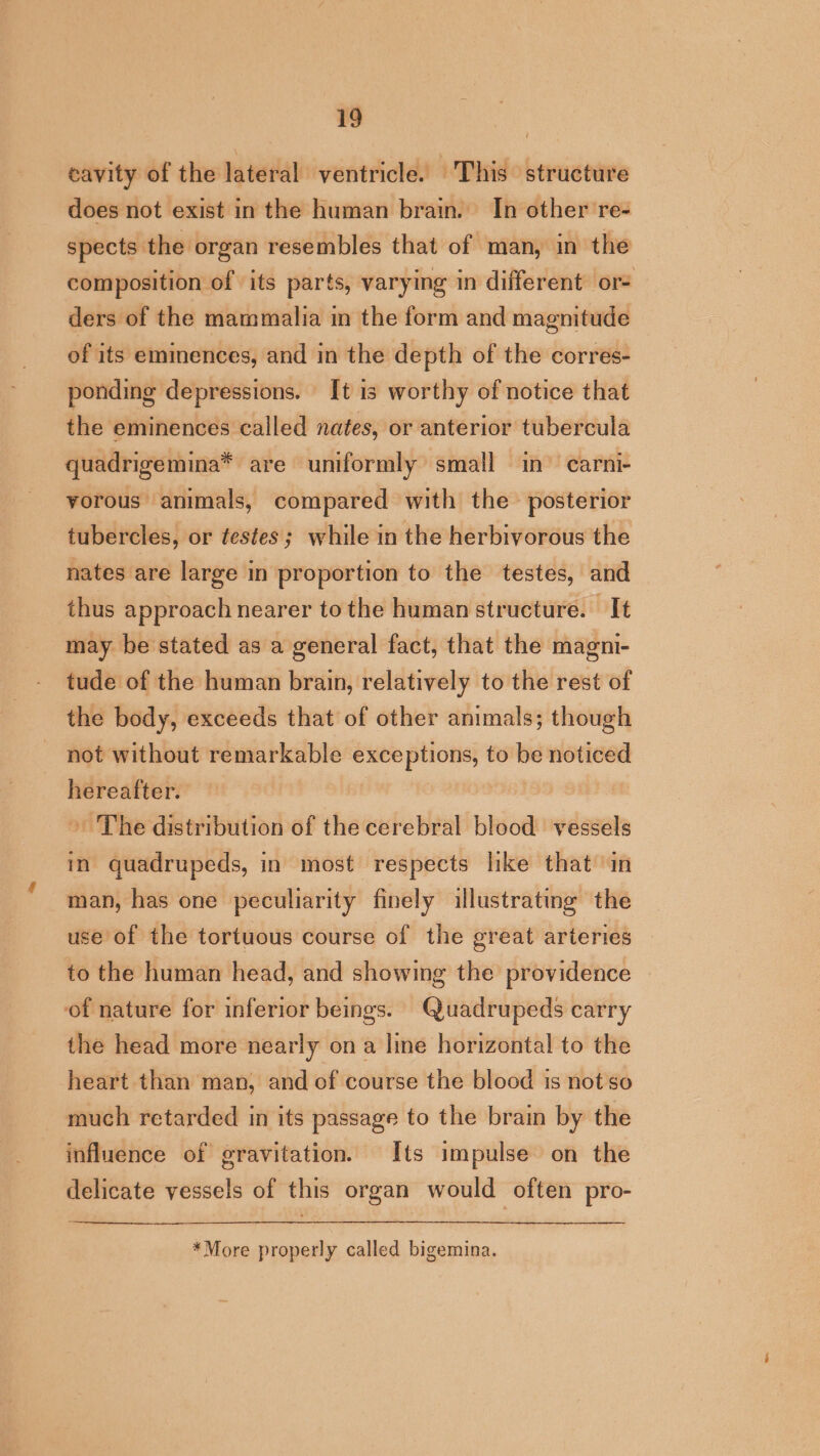 tavity of the lateral ventricle. This structure does not exist in the human brain. In other re- spects the organ resembles that of man, in the composition of its parts, varying in different or ders of the mammalia in the form and magnitude of its eminences, and in the depth of the corres- ponding depressions. [t 13 worthy of notice that the eminences called nates, or anterior tubercula quadrigemina* are uniformly small in carni- vorous animals, compared with the posterior tubercles, or testes; while in the herbivorous the nates are large in proportion to the testes, and thus approach nearer to the human structure. It may be stated as a general fact, that the magni- tude of the human brain, relatively to the rest of the body, exceeds that of other animals; though not without remarkable exceptions, to be noticed hereafter. » The distribution of the cerebral blood vessels in quadrupeds, in most respects like that in man, has one peculiarity finely illustrating the use of the tortuous course of the great arteries — to the human head, and showing the providence of nature for inferior beings. Quadrupeds carry the head more nearly on a line horizontal to the heart than man, and of course the blood is not so much retarded in its passage to the brain by the influence of gravitation. Its impulse on the delicate vessels of this organ would often pro- *More properly called bigemina.